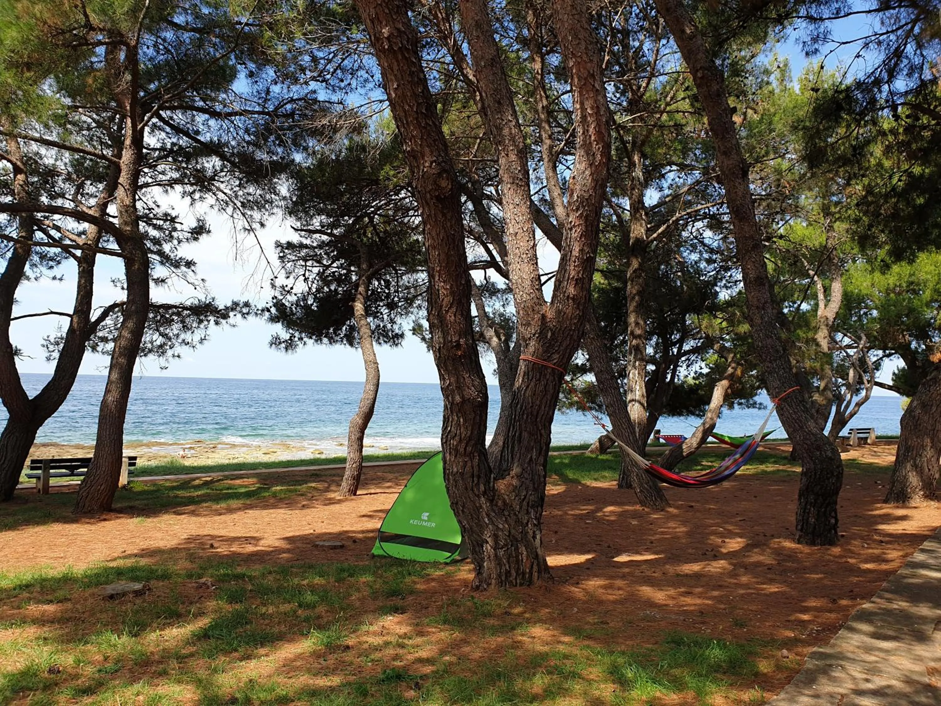 Activities in Family Bungalow Pineta