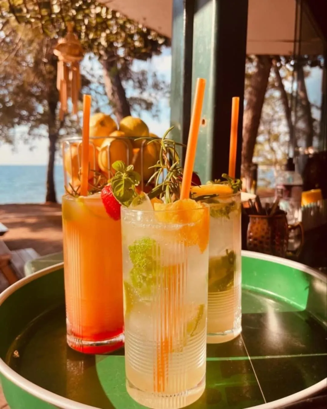 Lounge or bar in Family Bungalow Pineta