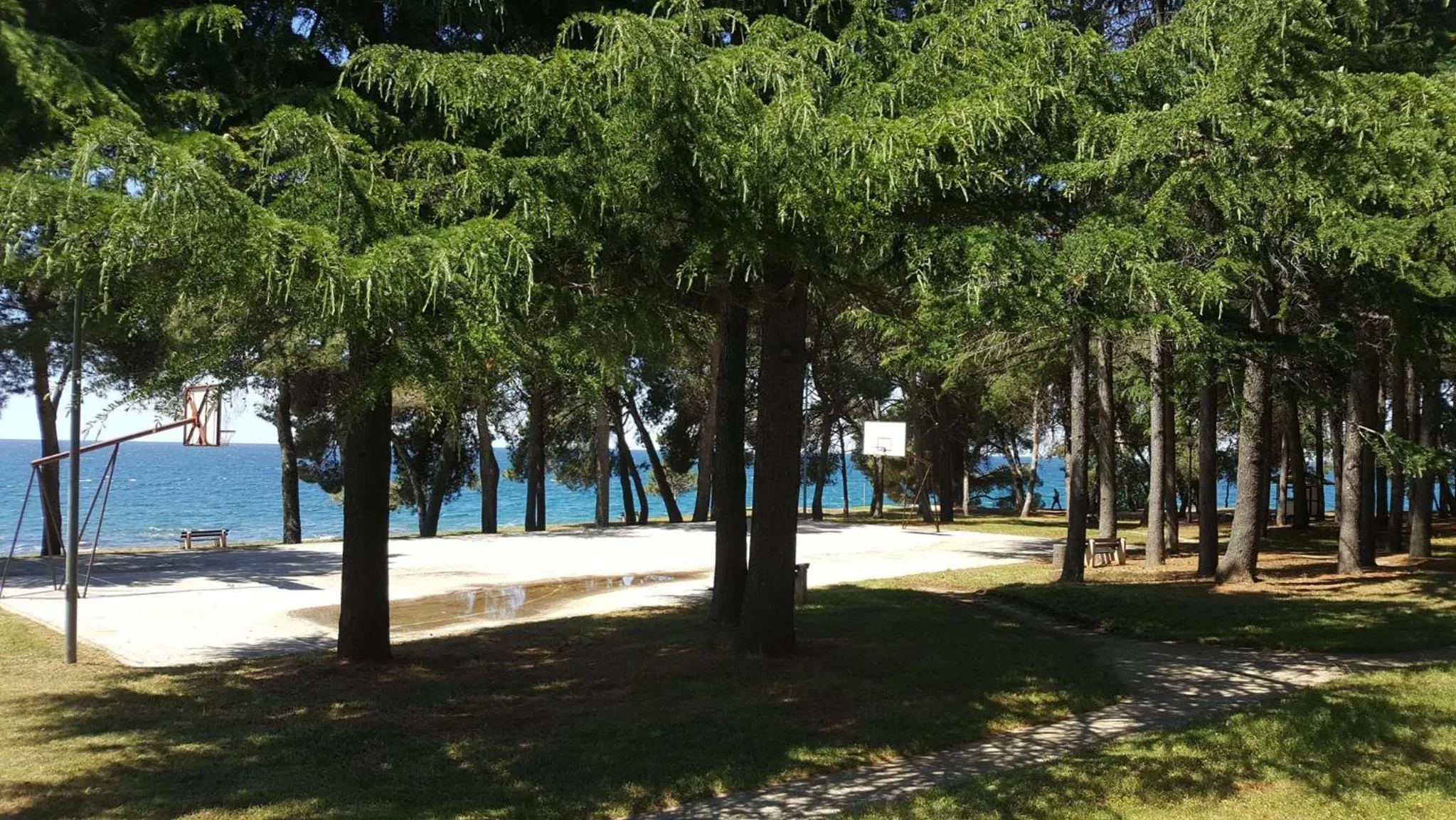 Nearby landmark in Family Bungalow Pineta