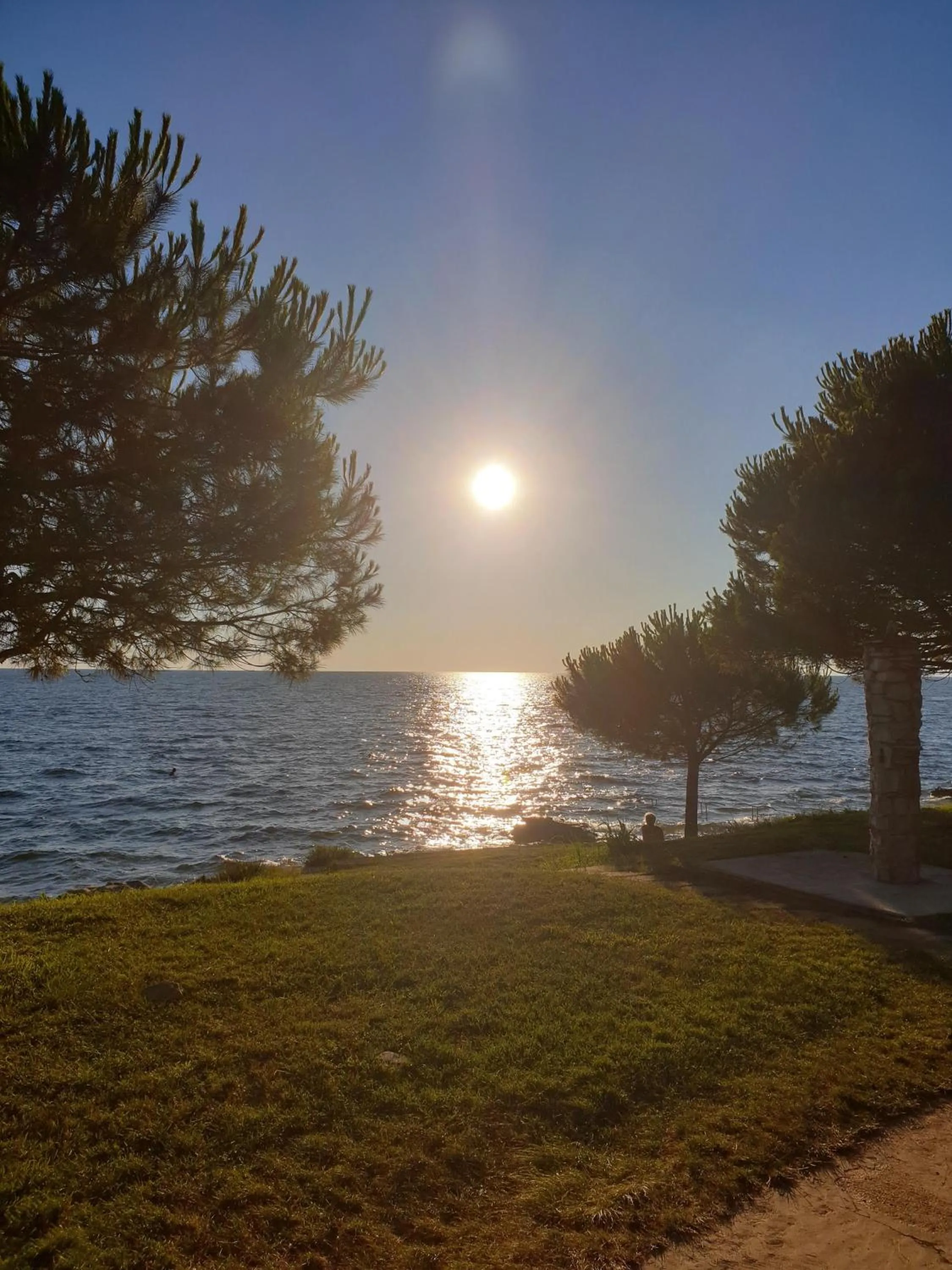 Beach in Family Bungalow Pineta