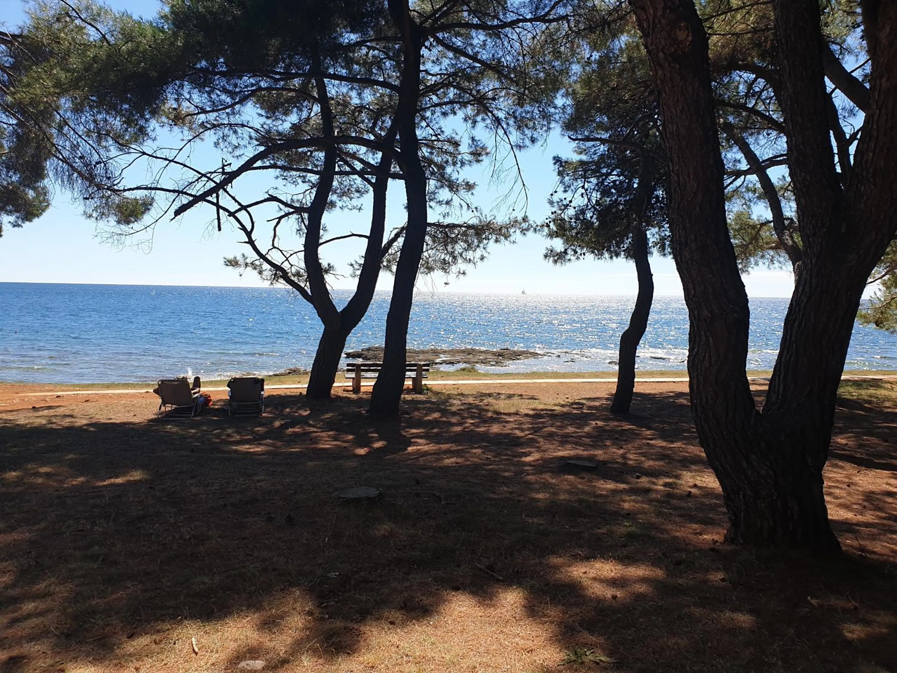 Beach in Family Bungalow Pineta