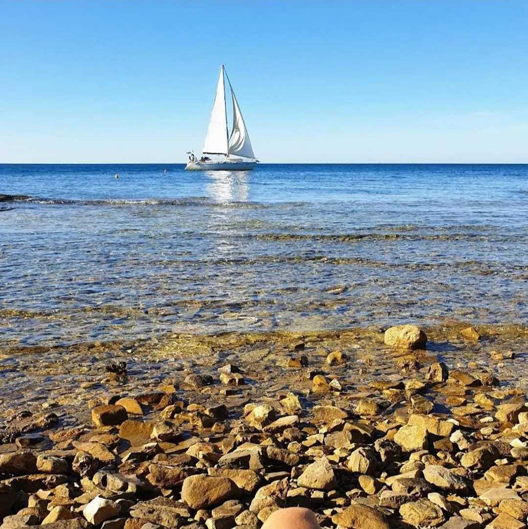 Natural landscape in Family Bungalow Pineta