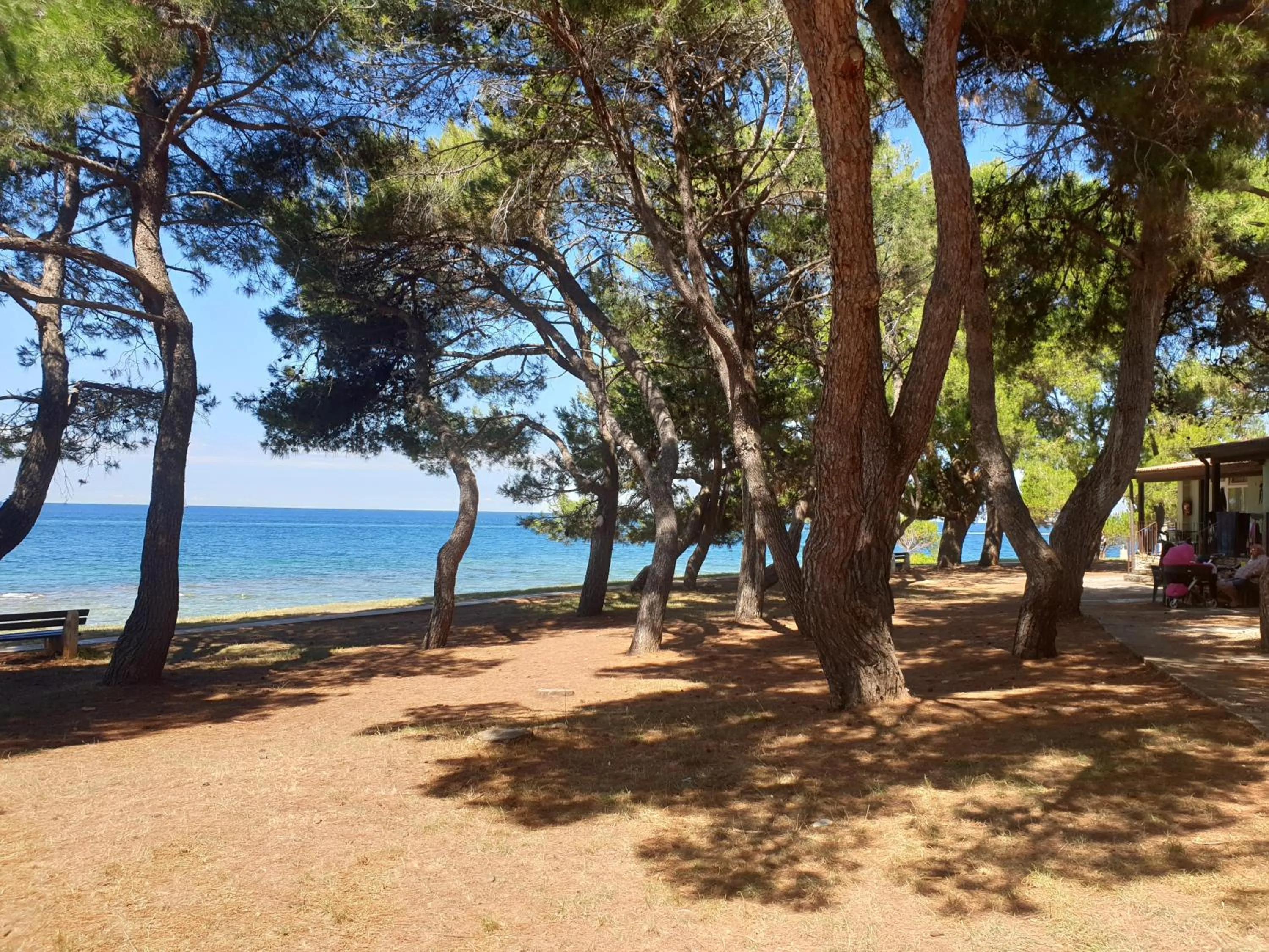 Beach in Family Bungalow Pineta