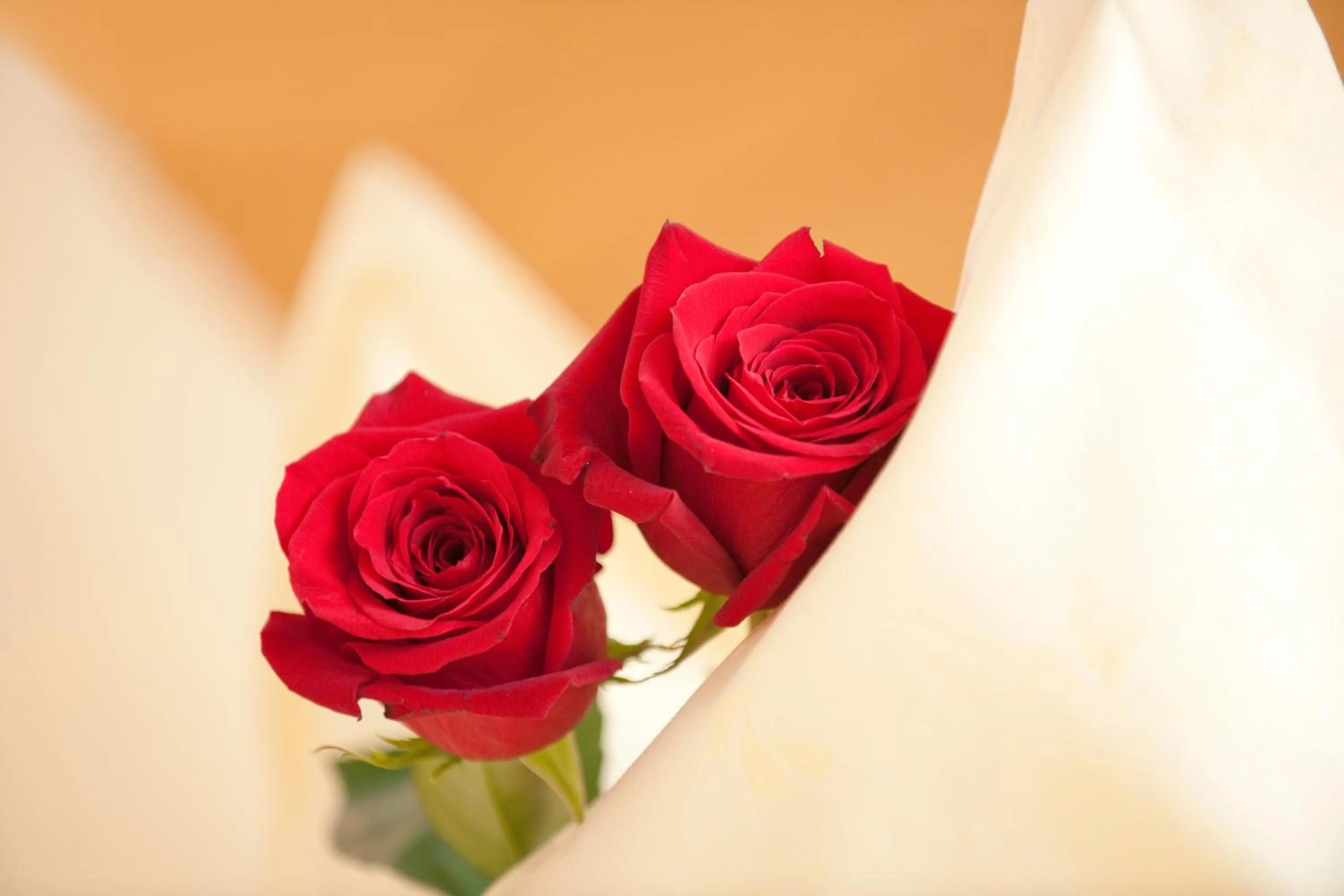 Decorative detail in Hotel Jagdhof Bed & Breakfast