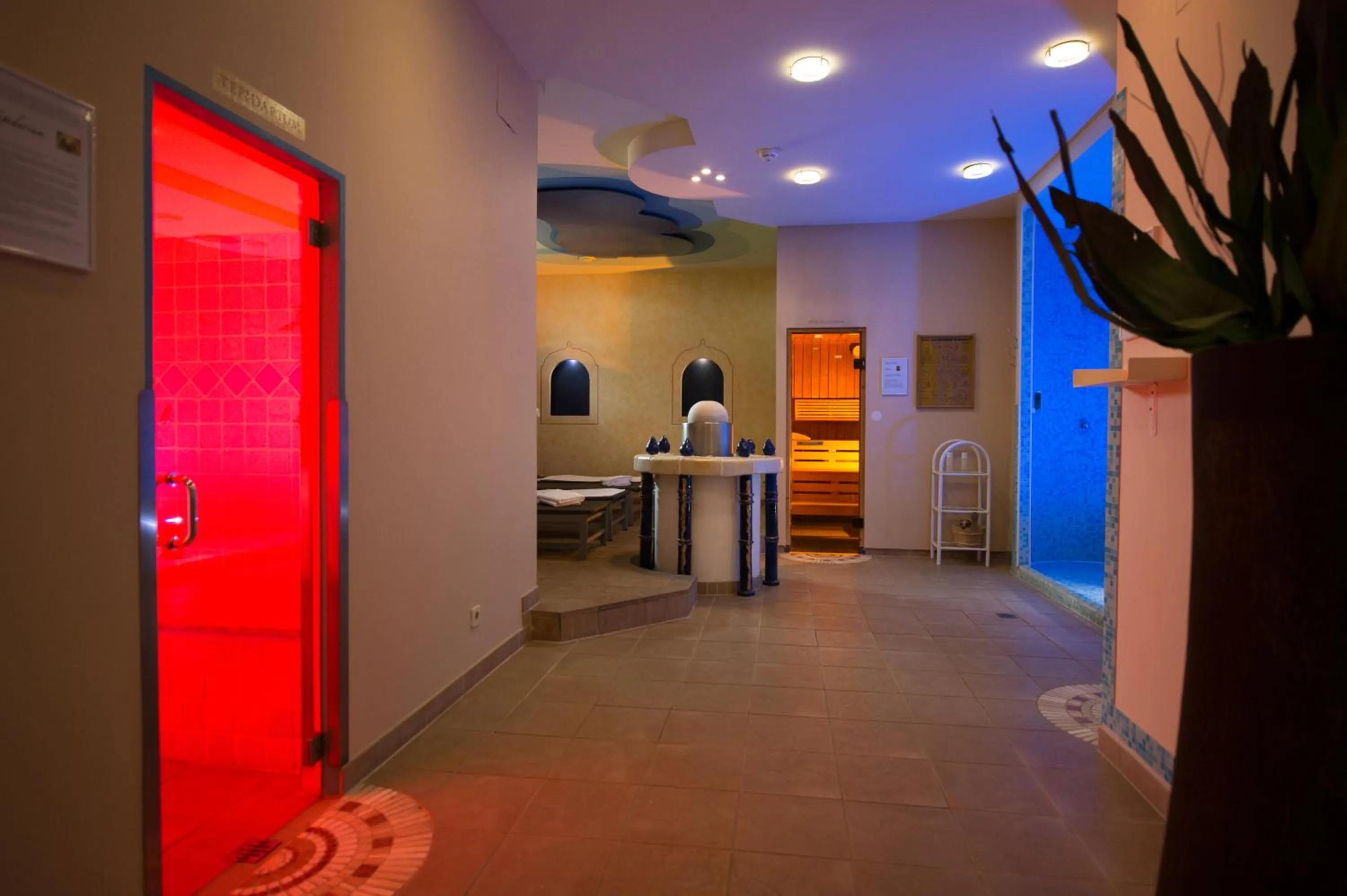 Hot Spring Bath in Hotel Landliebe