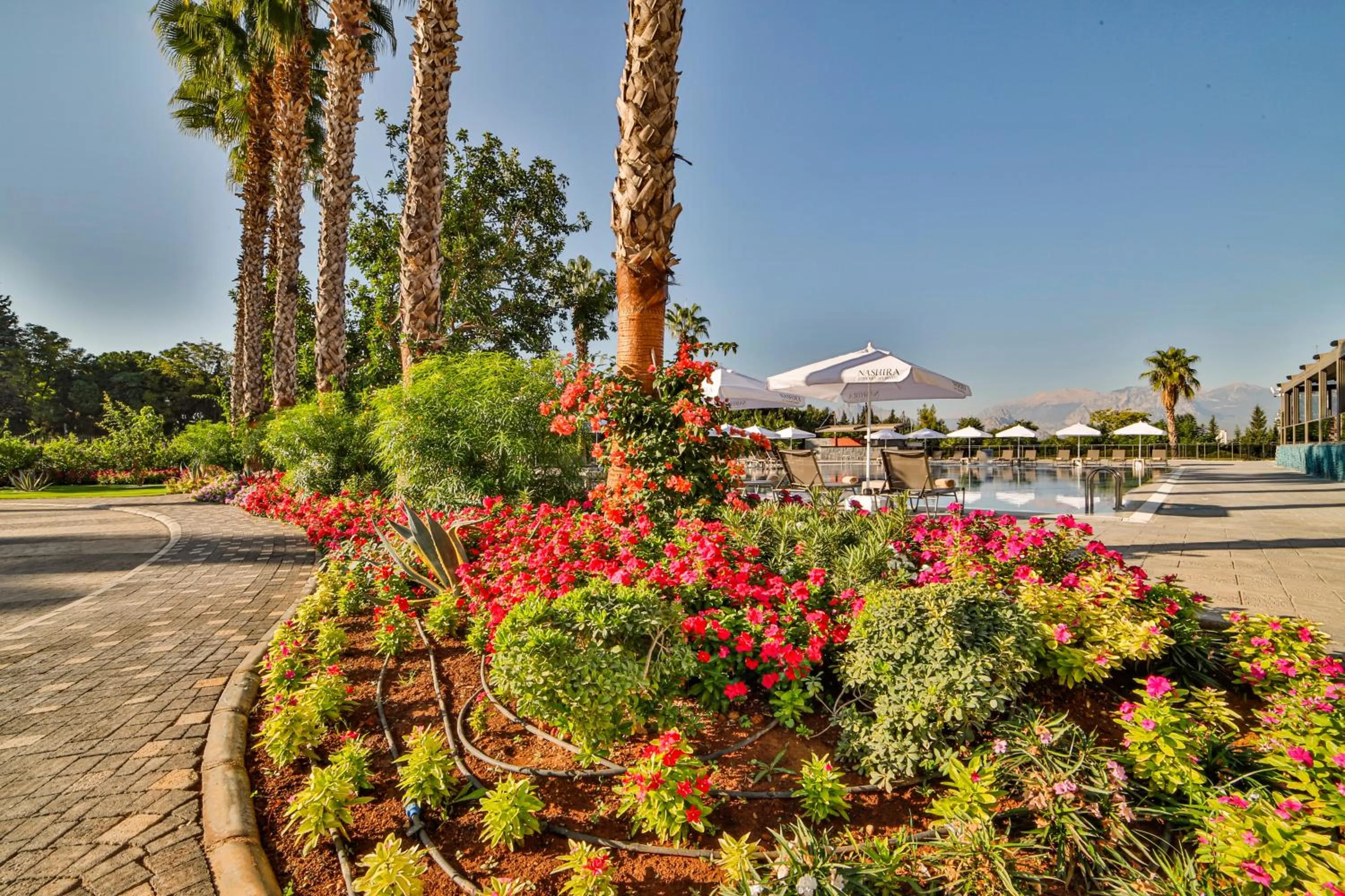 Natural landscape in Nashira City Resort Hotel