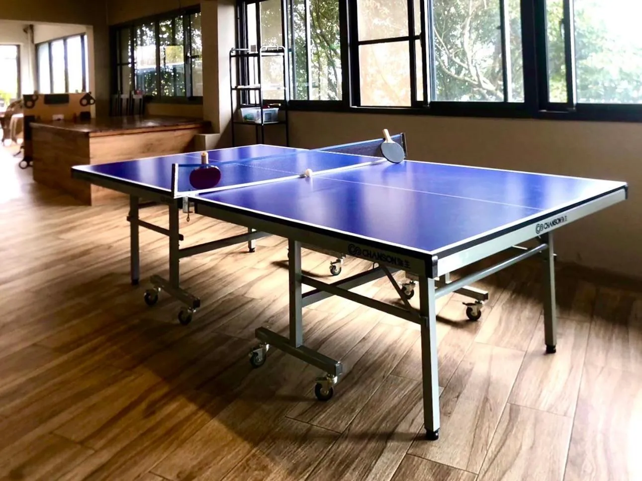 Table tennis in Impression Nordic Manor Club