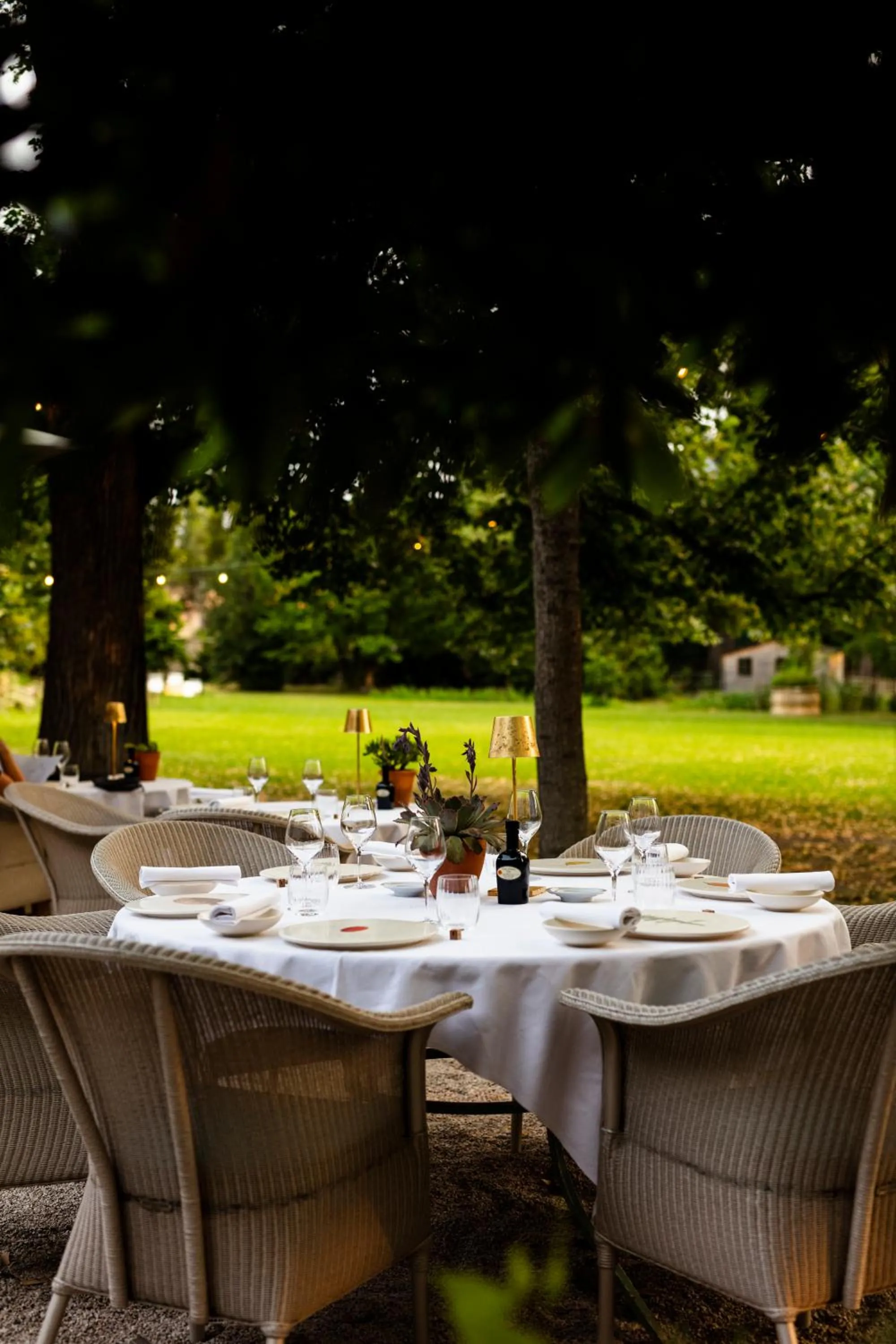 Dining area in Hôtel - Restaurant & Spa La Magdeleine - Mathias Dandine