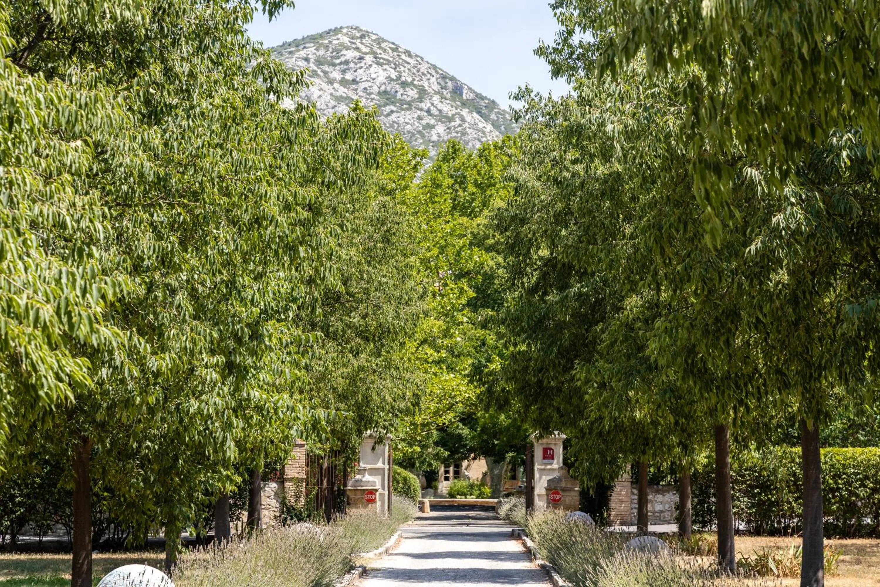 Facade/entrance in Hôtel - Restaurant & Spa La Magdeleine - Mathias Dandine
