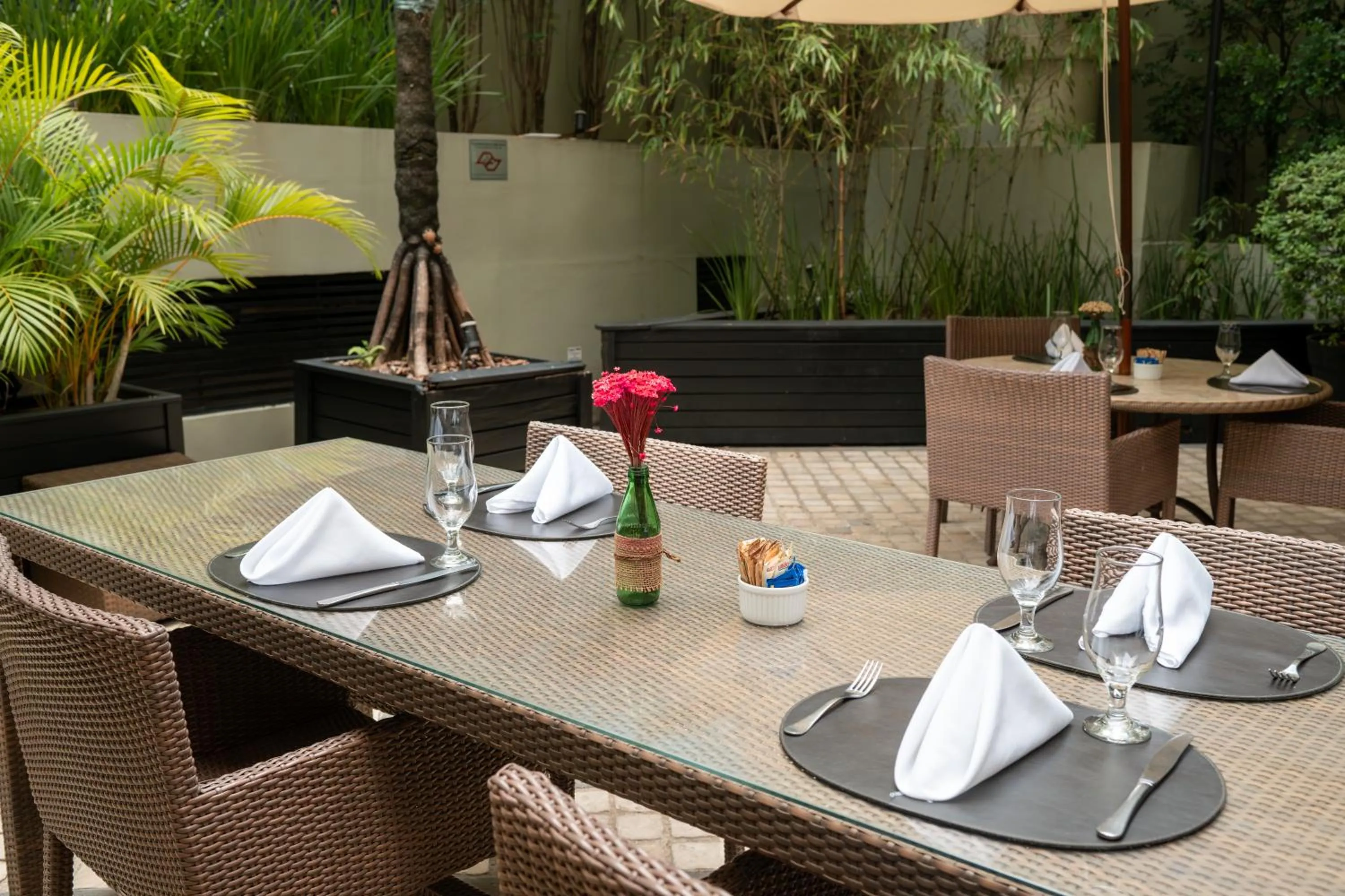 Patio in Royal Collection Paulista