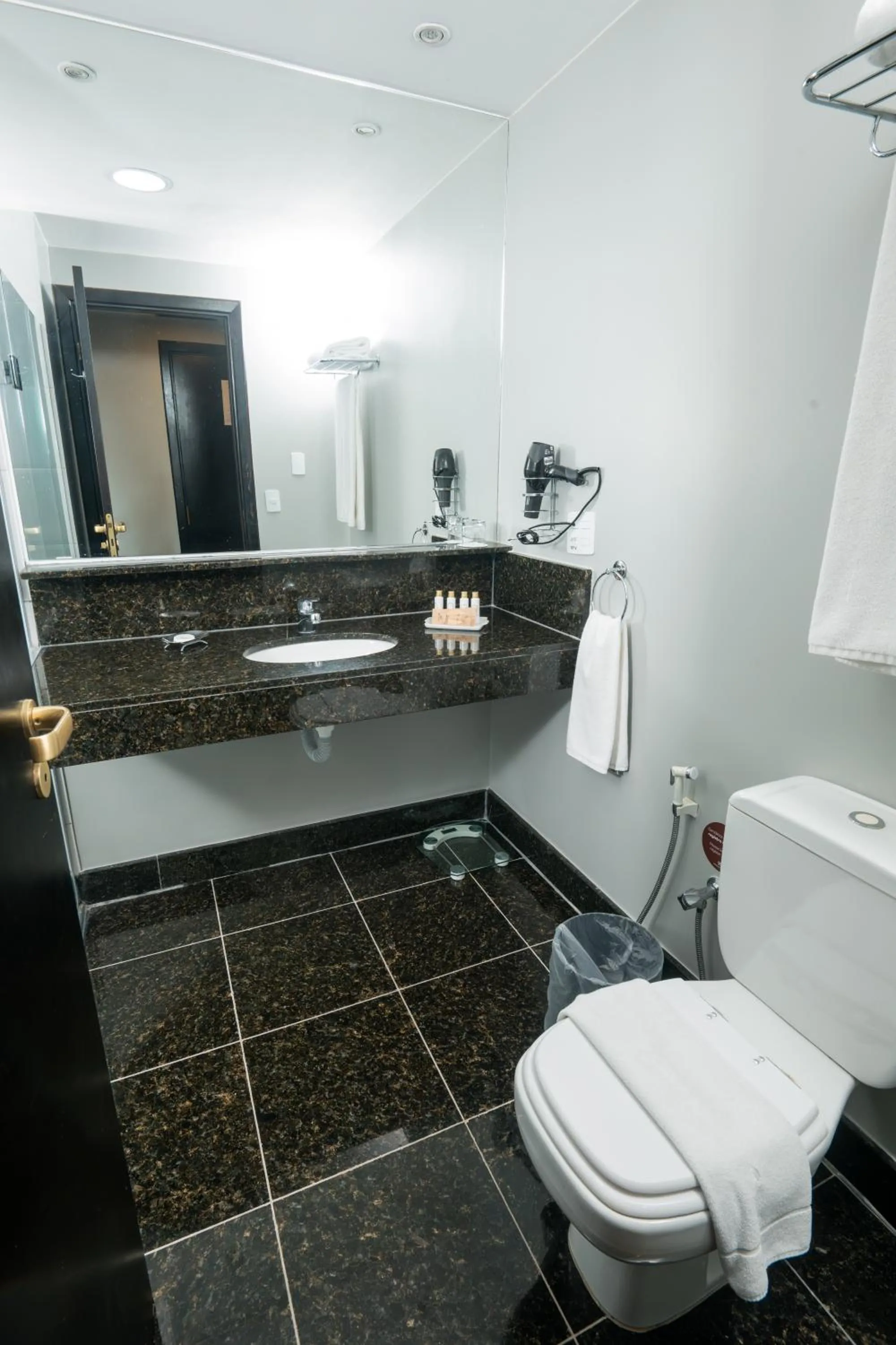 Toilet in Royal Collection Paulista