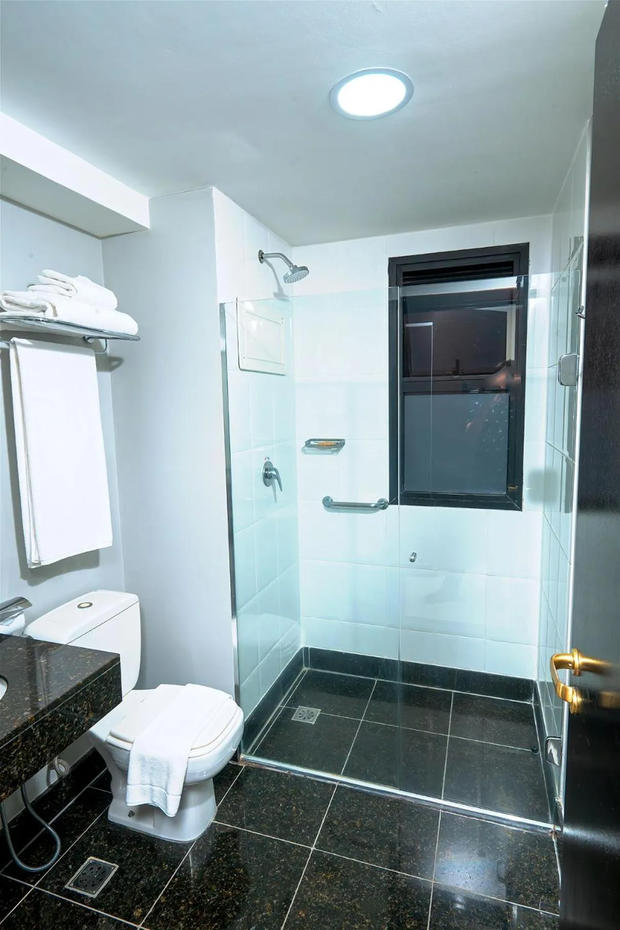 Shower in Royal Collection Paulista