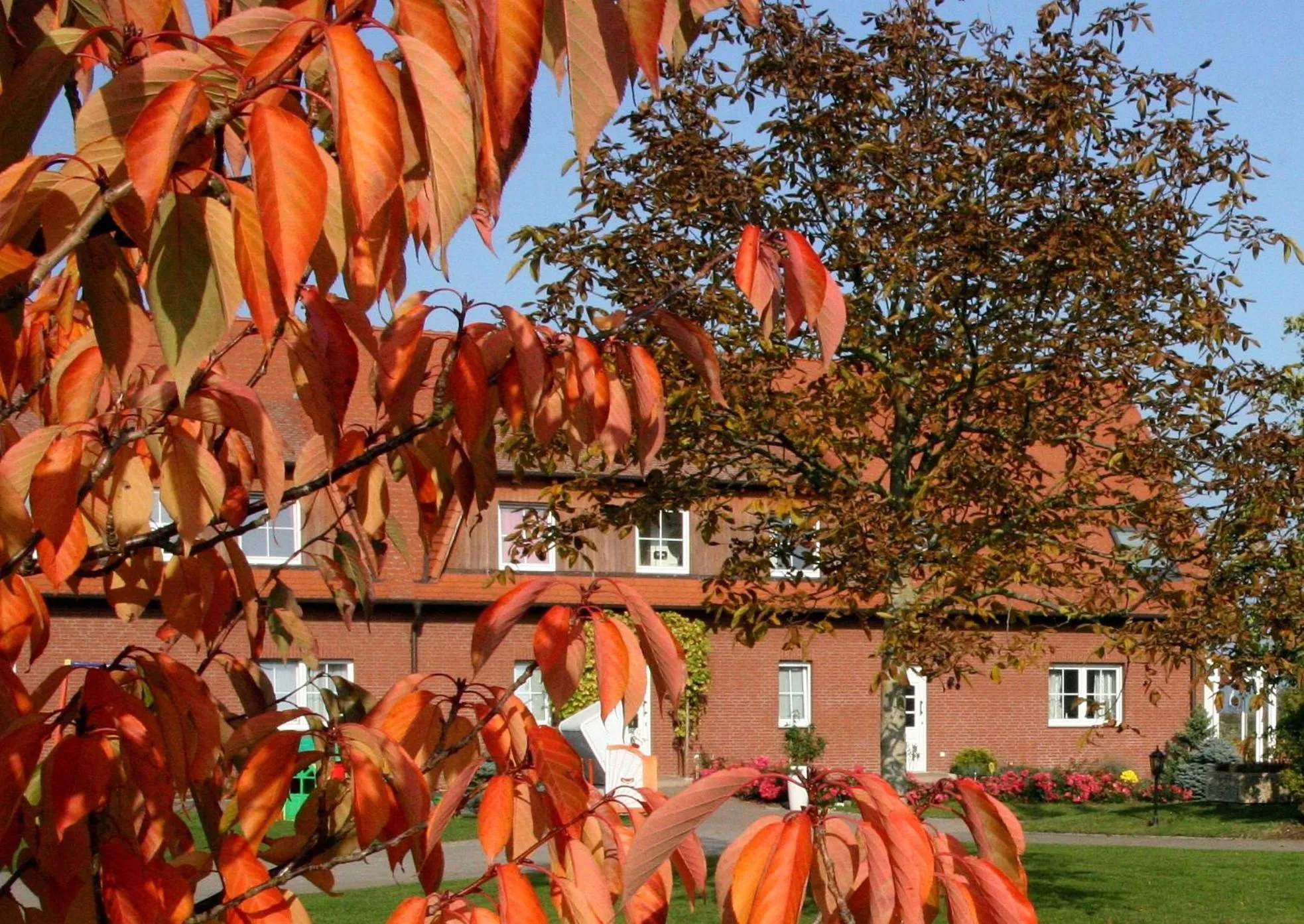 Facade/entrance in Flair Seehotel Zielow