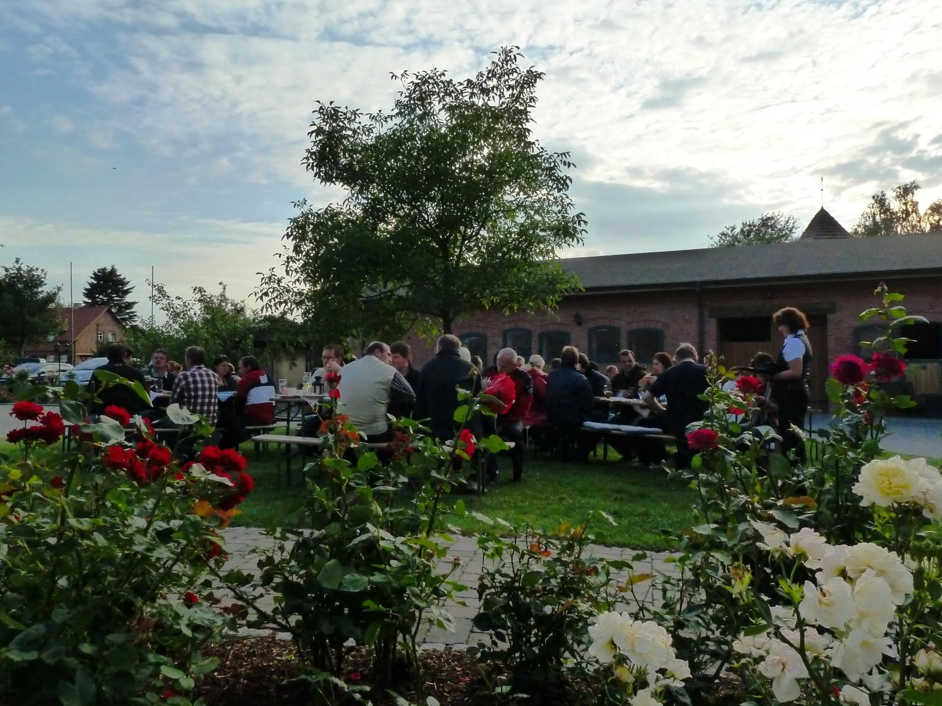 Restaurant/places to eat in Flair Seehotel Zielow