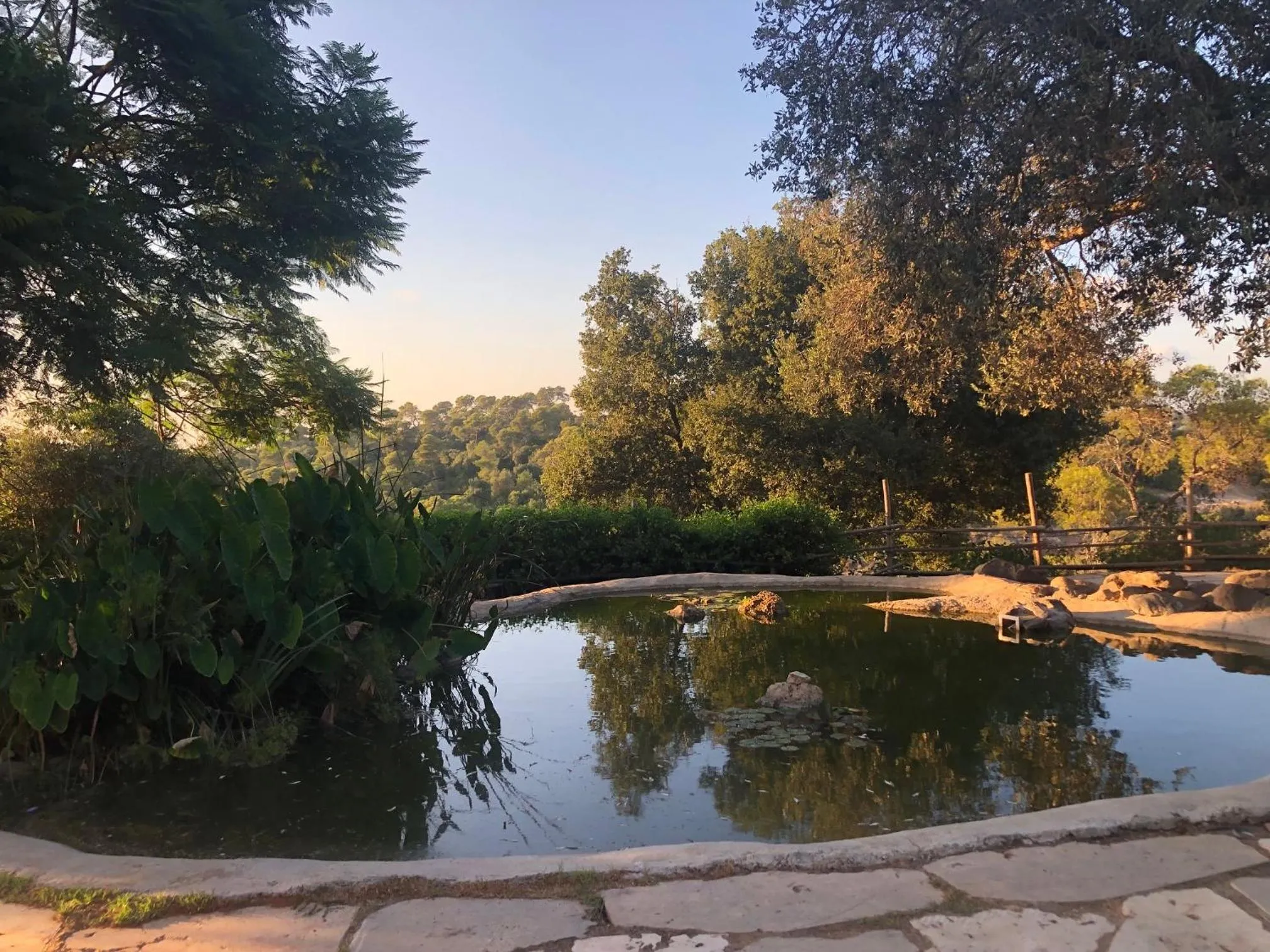 Nearby landmark in Beit Oren Hotel