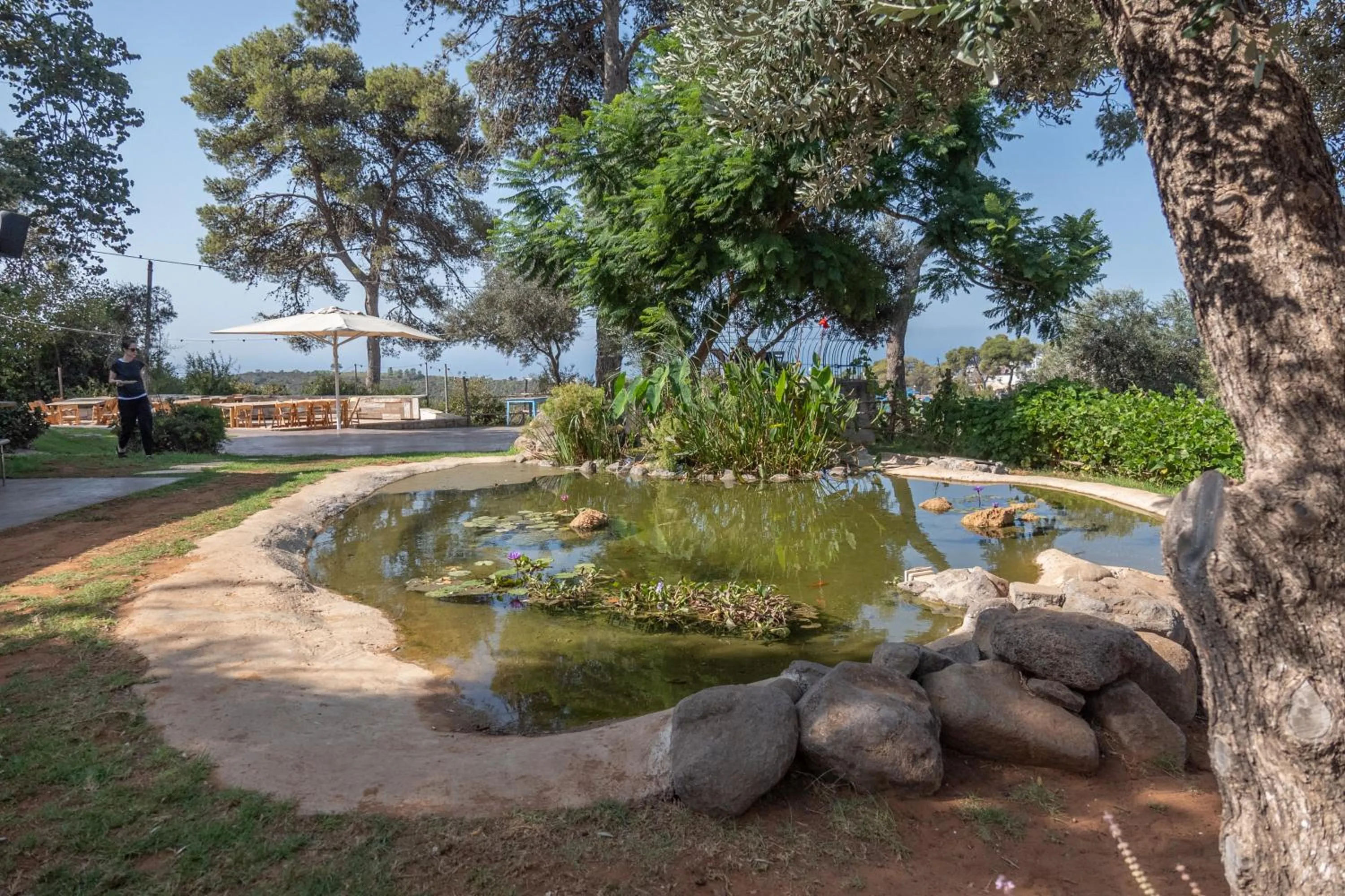Garden in Beit Oren Hotel