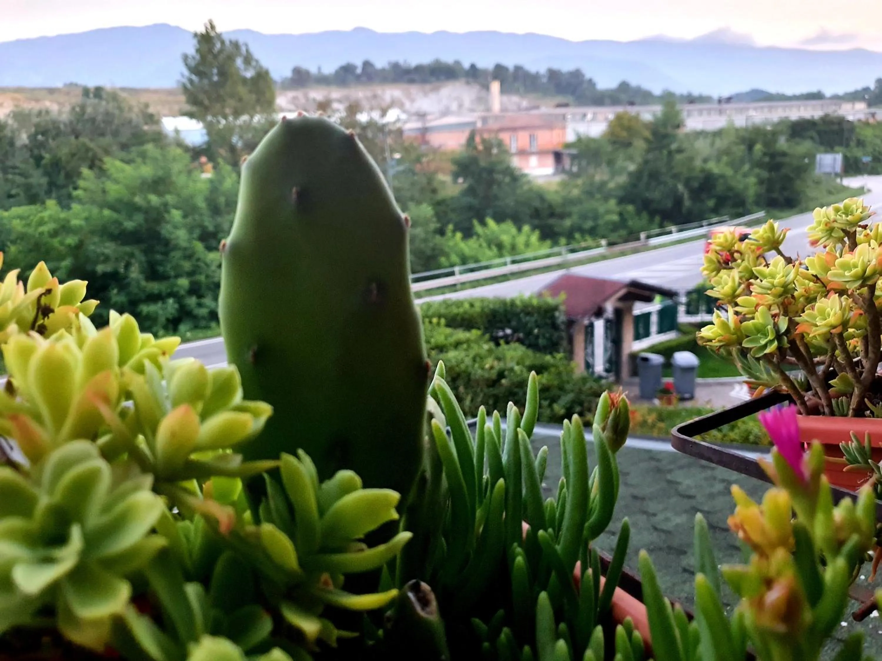 b&b Tre Passi Dalla Torre