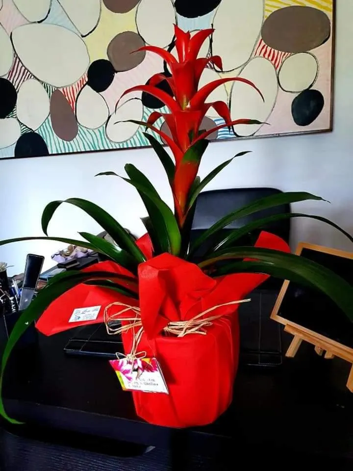 b&b Tre Passi Dalla Torre