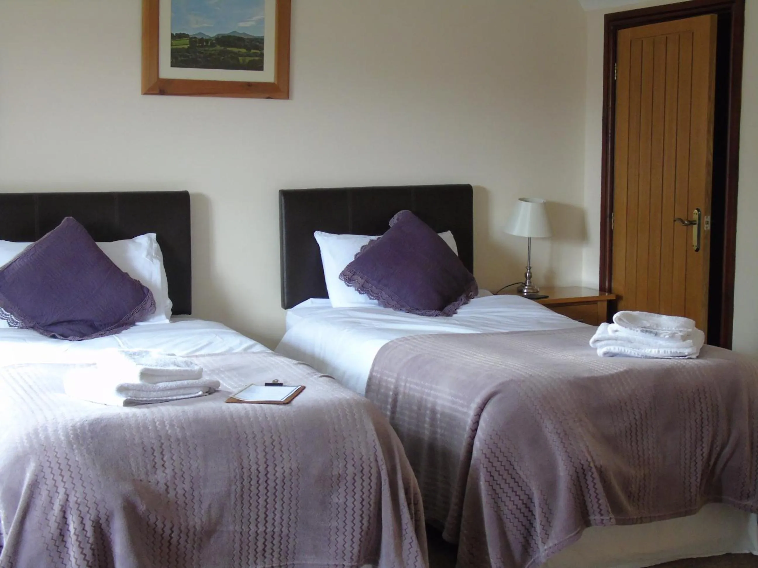 Bed in Pwllgwilym B & B