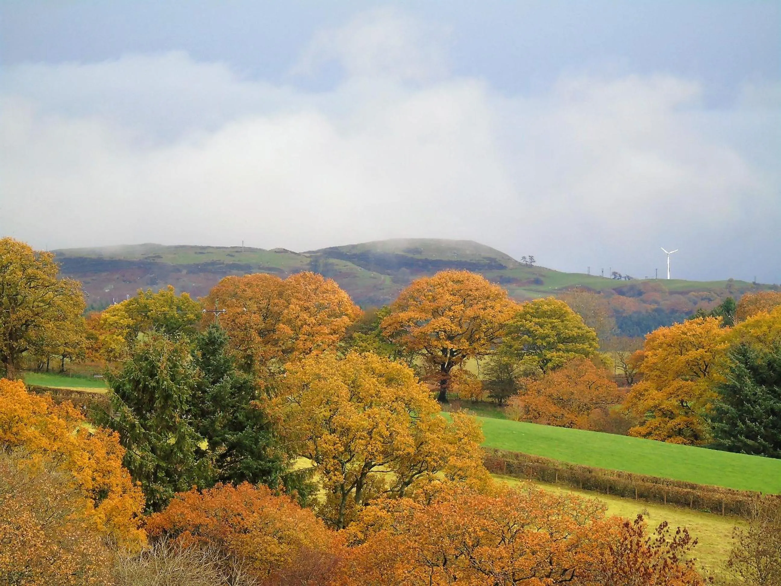 Mountain view in Pwllgwilym B & B