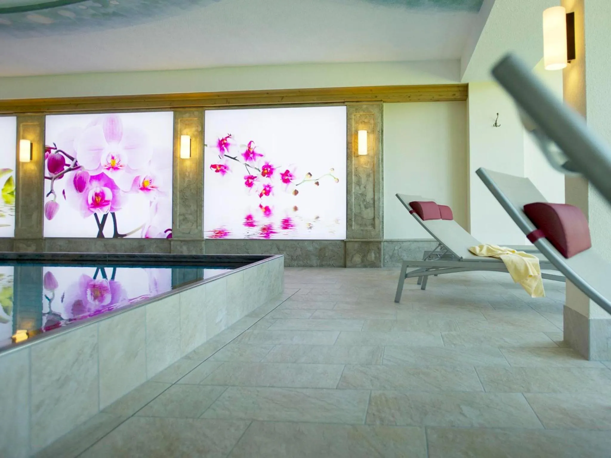 Swimming pool in Das Pfandler