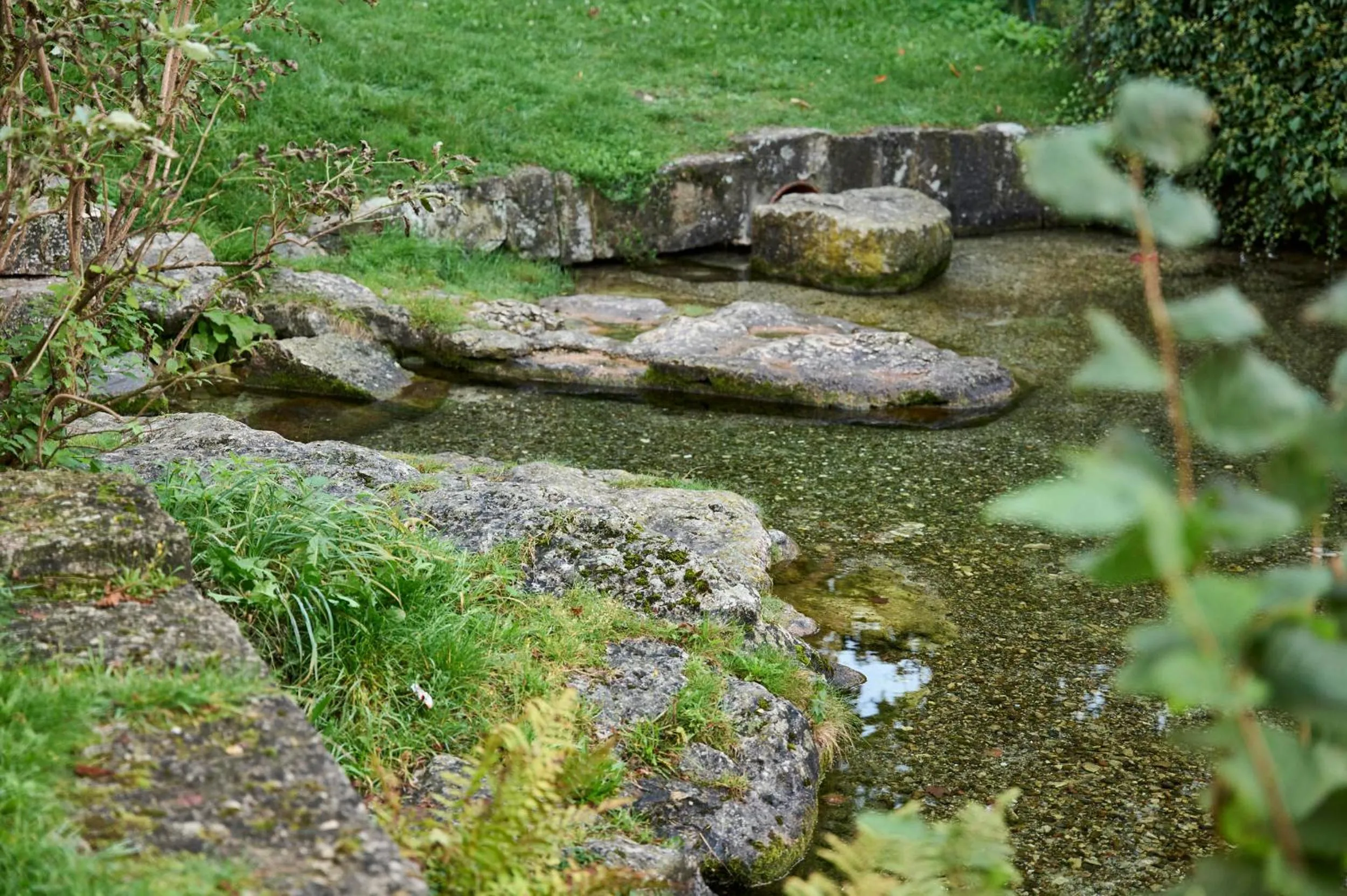 Garden in Gasthof zum Bad
