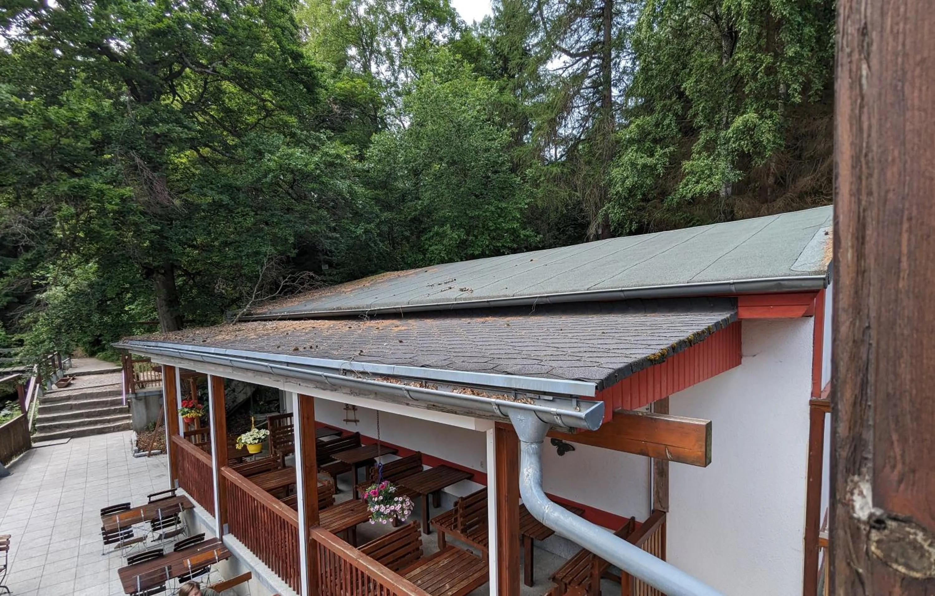 Property building in Waldgasthaus & Berghotel Steinerne Renne