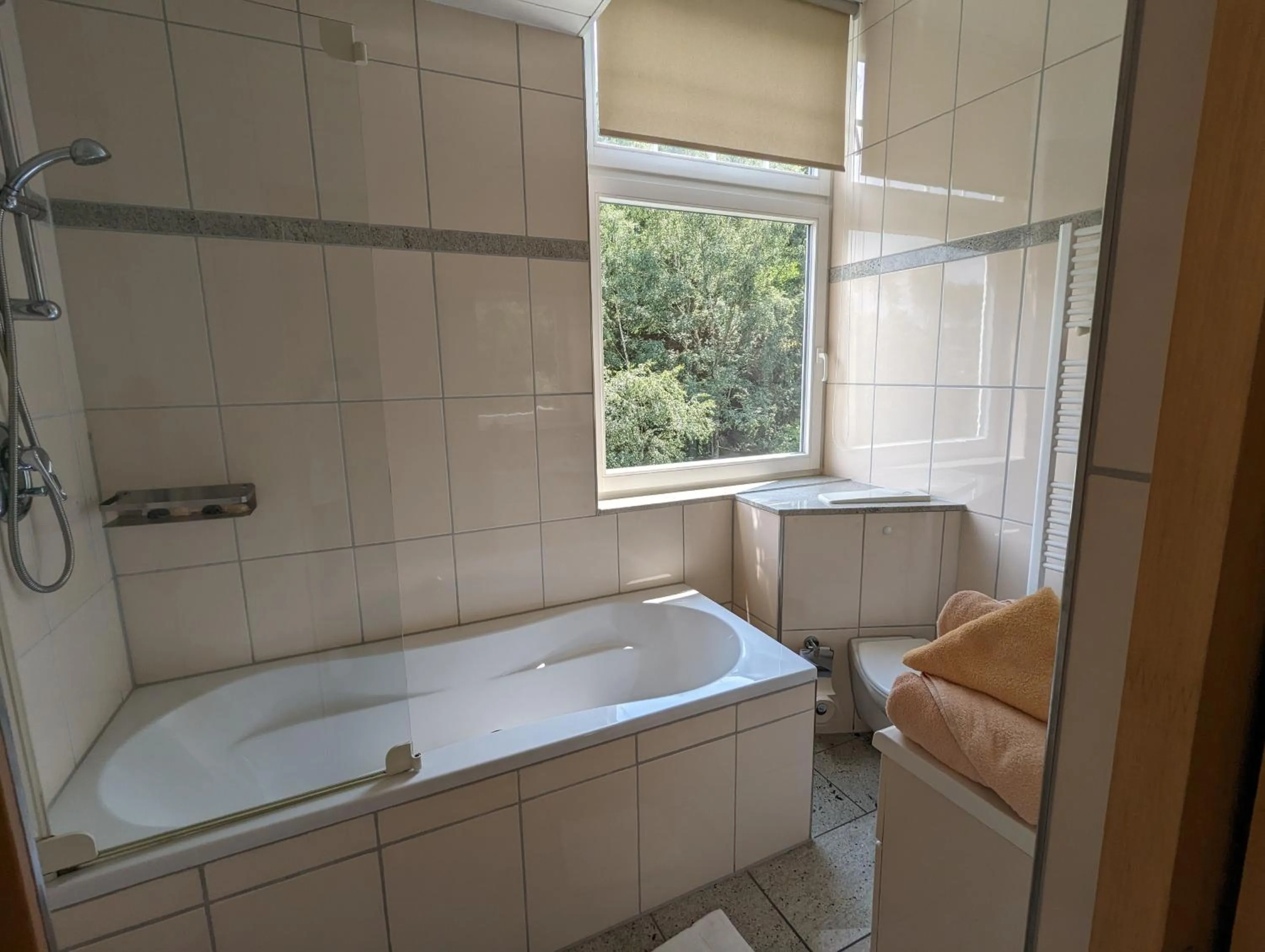 Shower in Waldgasthaus & Berghotel Steinerne Renne