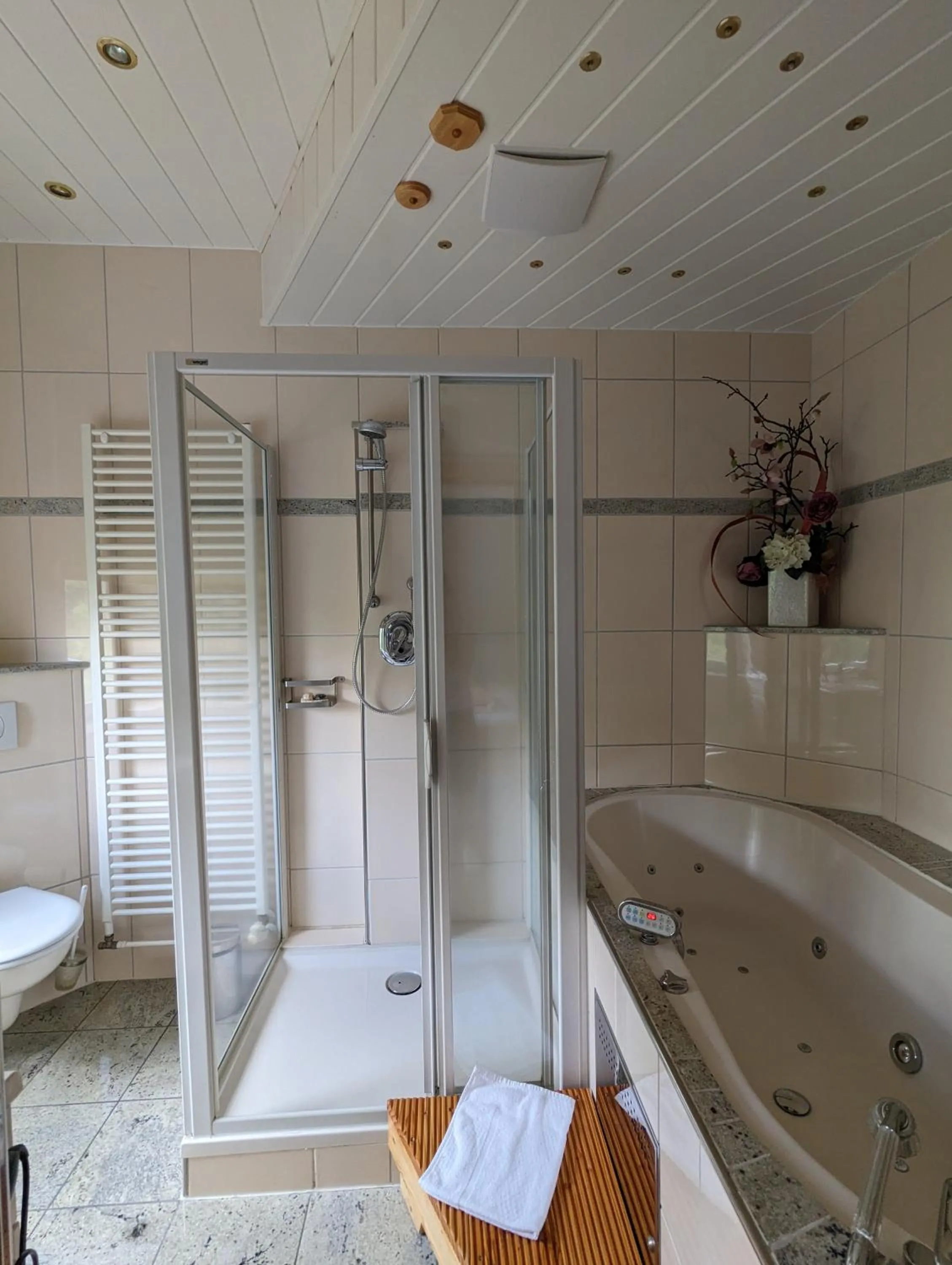 Shower in Waldgasthaus & Berghotel Steinerne Renne