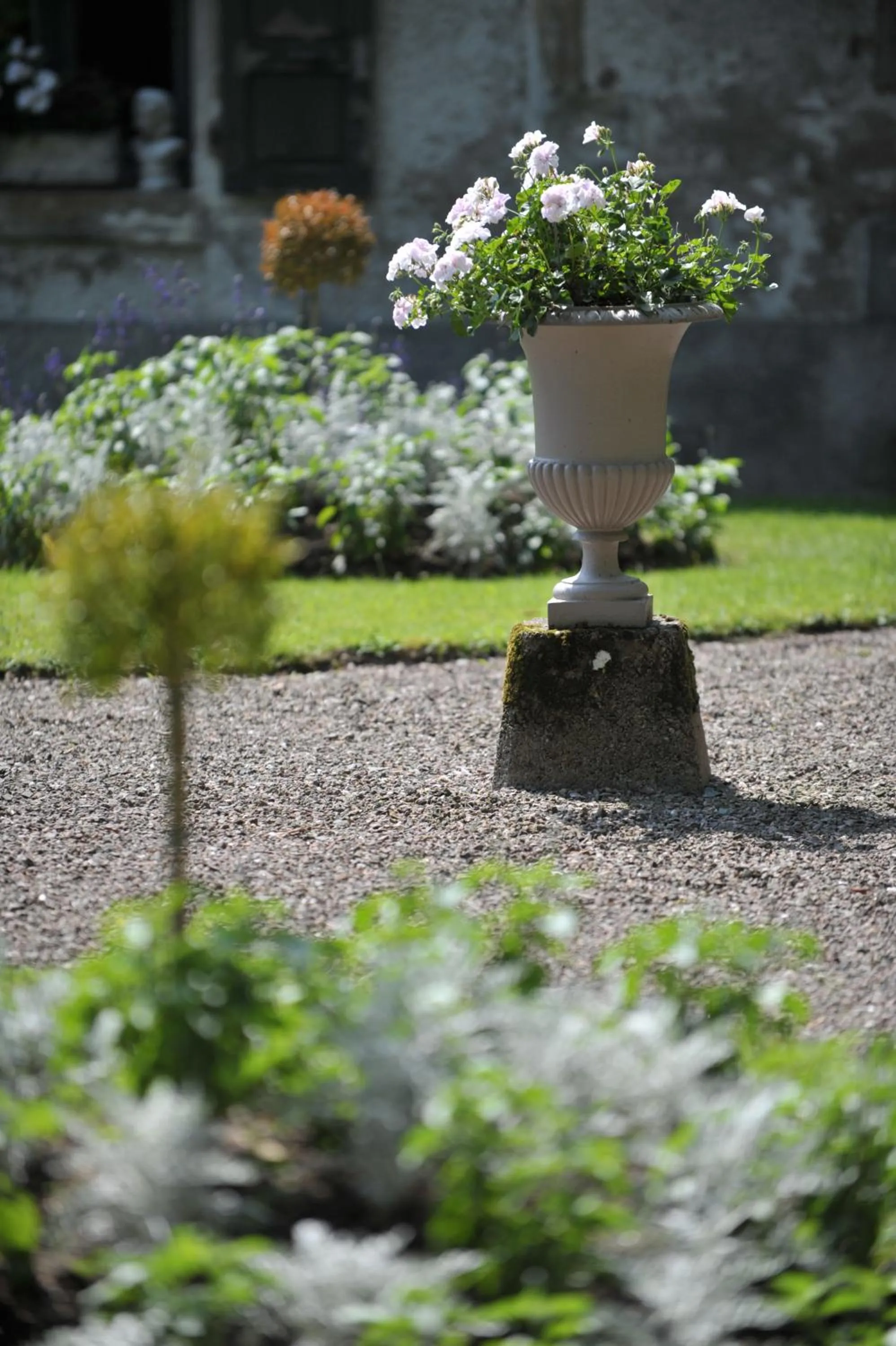 Garden in La Maison D'hôtes du Parc