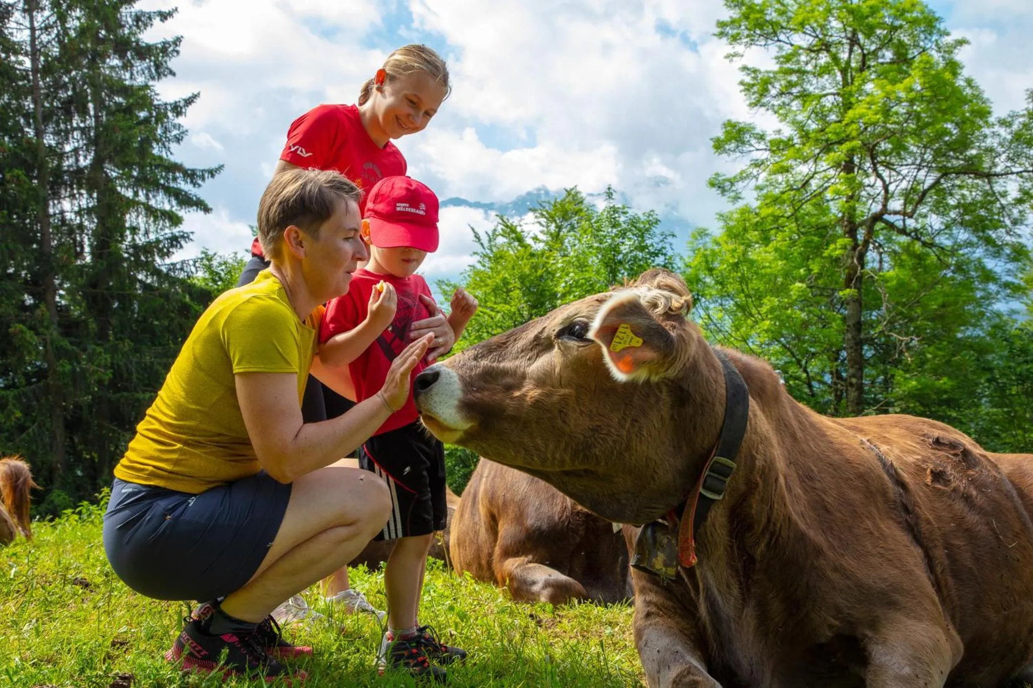 Hiking in Sonne Bezau - Familotel Bregenzerwald