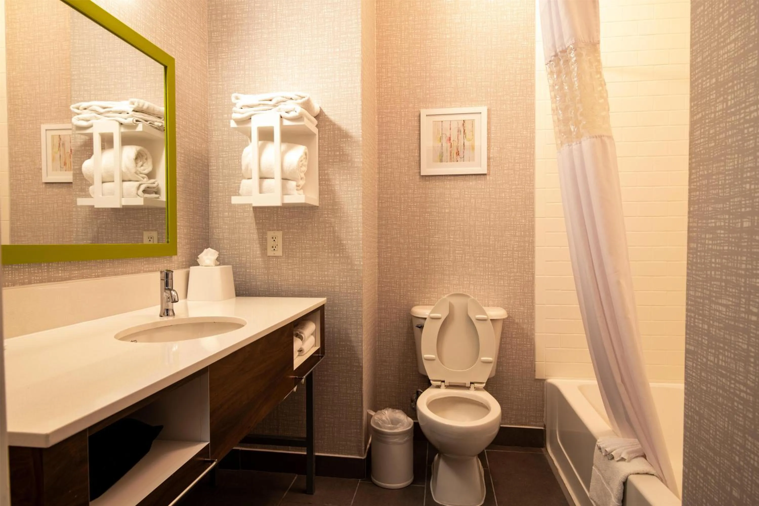 Bathroom in Hampton Inn & Suites College Station