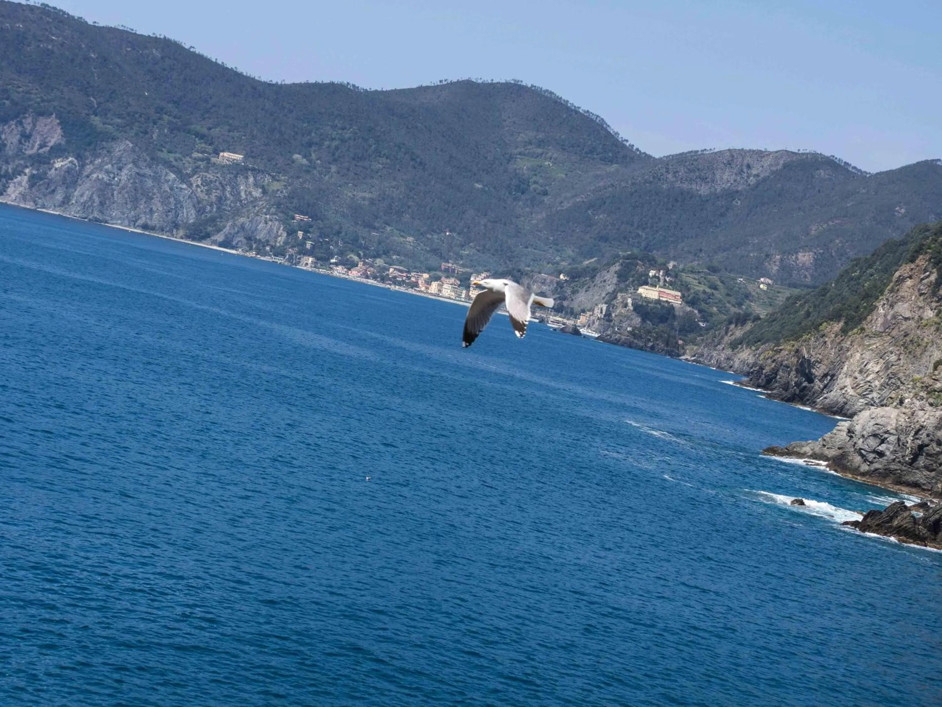 Neighbourhood in Ventegà Sea View Apartment with Balcony