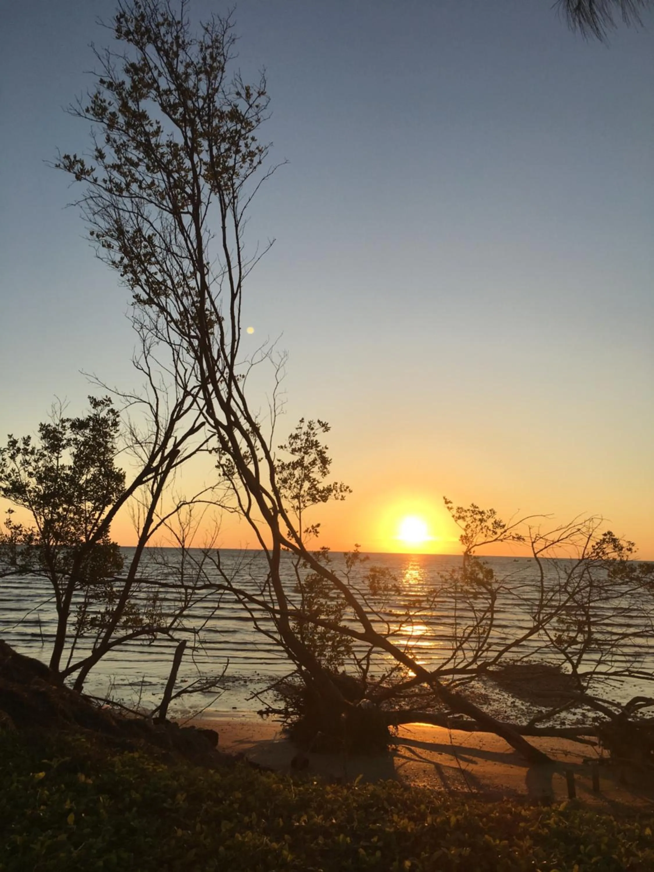 Sleep Soundly By The Sea