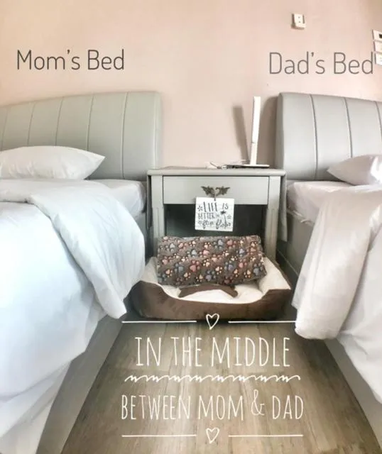 Bed in Sleep Soundly By The Sea