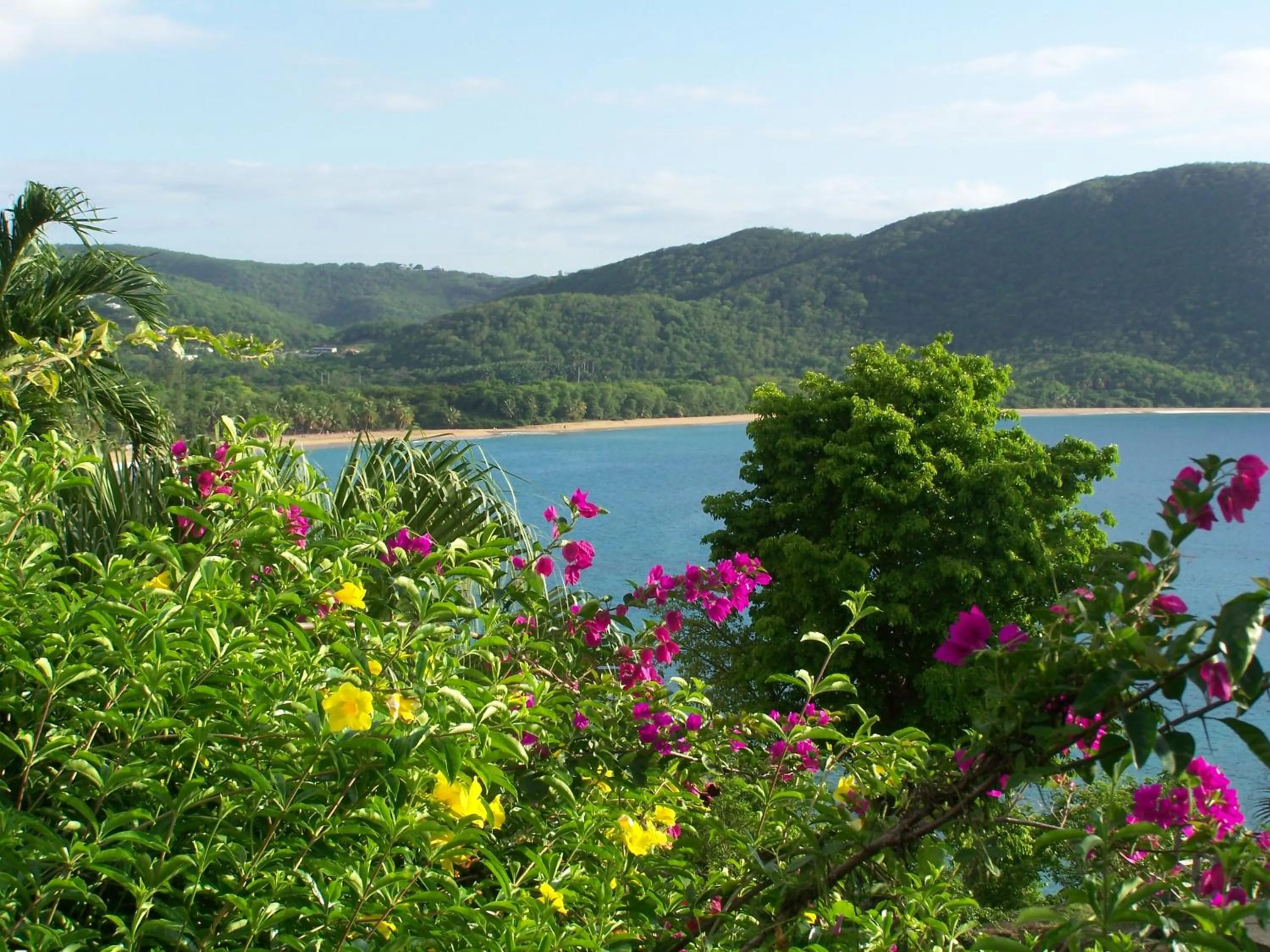 Restaurant/places to eat in Gite LES CALEBASSIERS