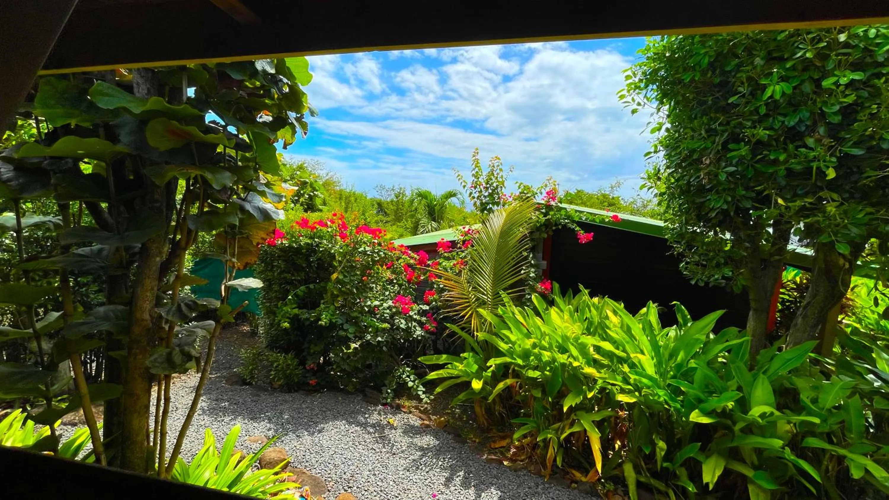 Gite LES CALEBASSIERS