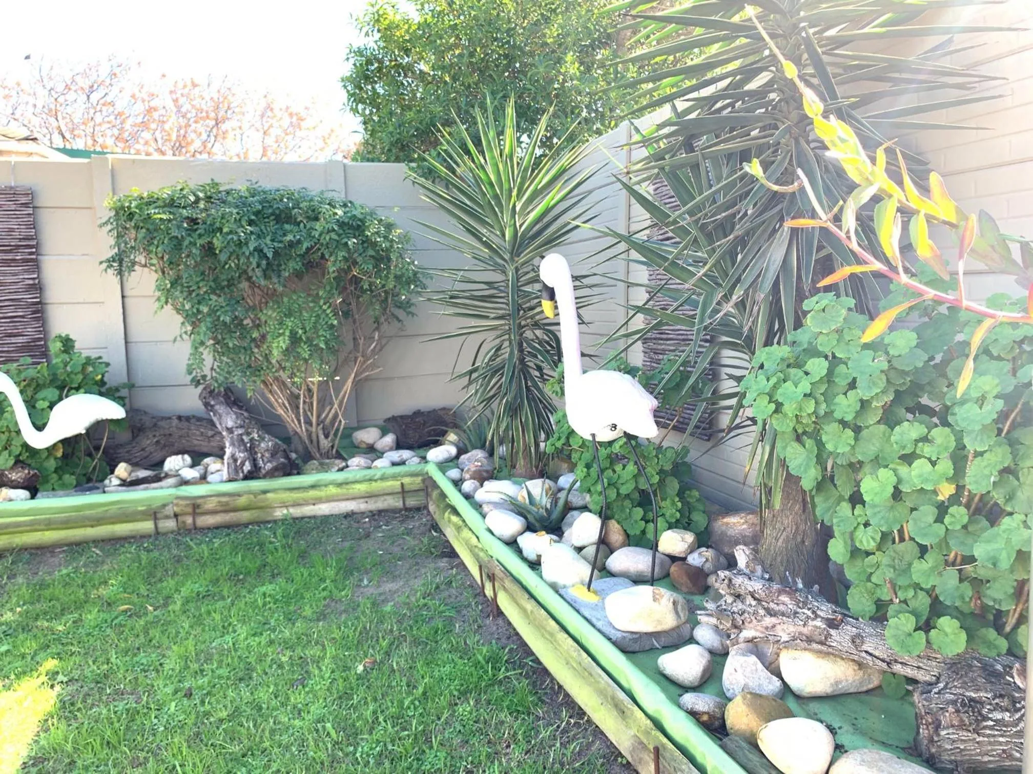 Arum Field Accommodation