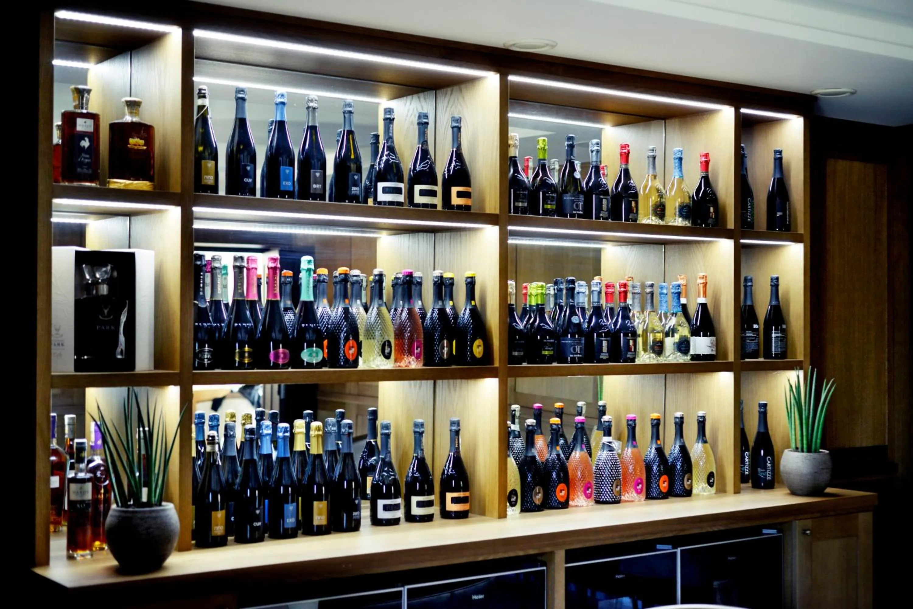 Evening entertainment in PROSECCO RESIDENCE MARKO