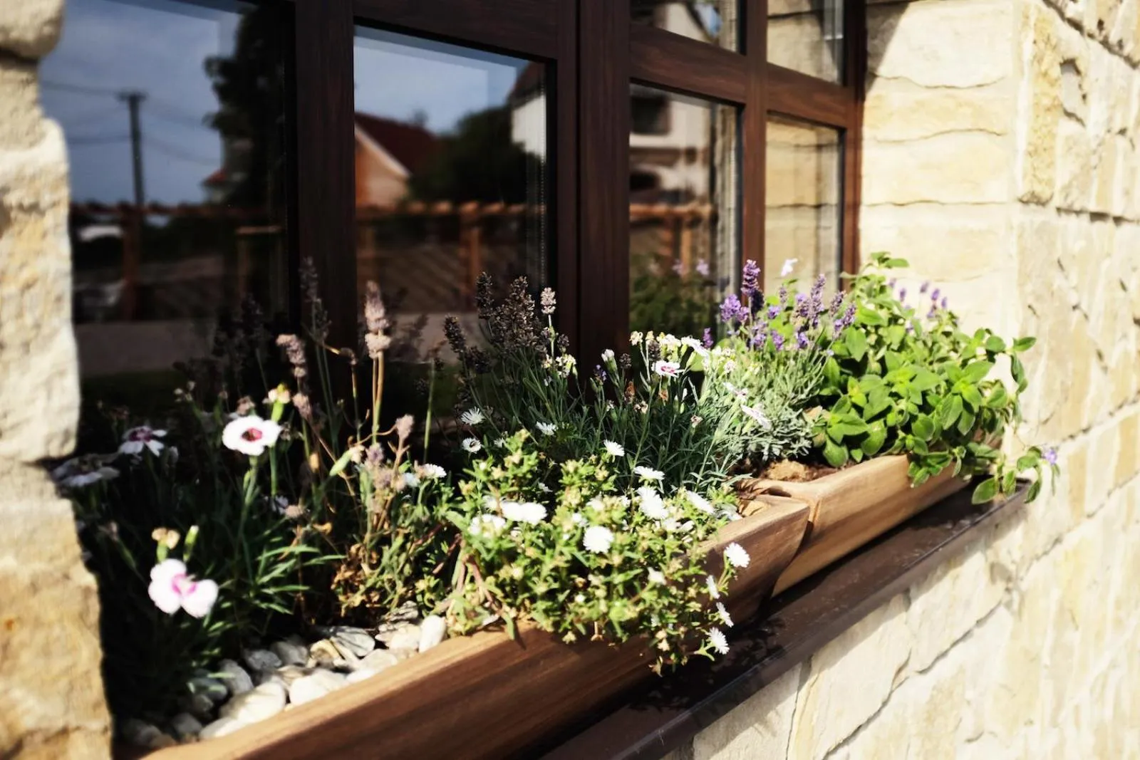 Summer in PROSECCO RESIDENCE MARKO