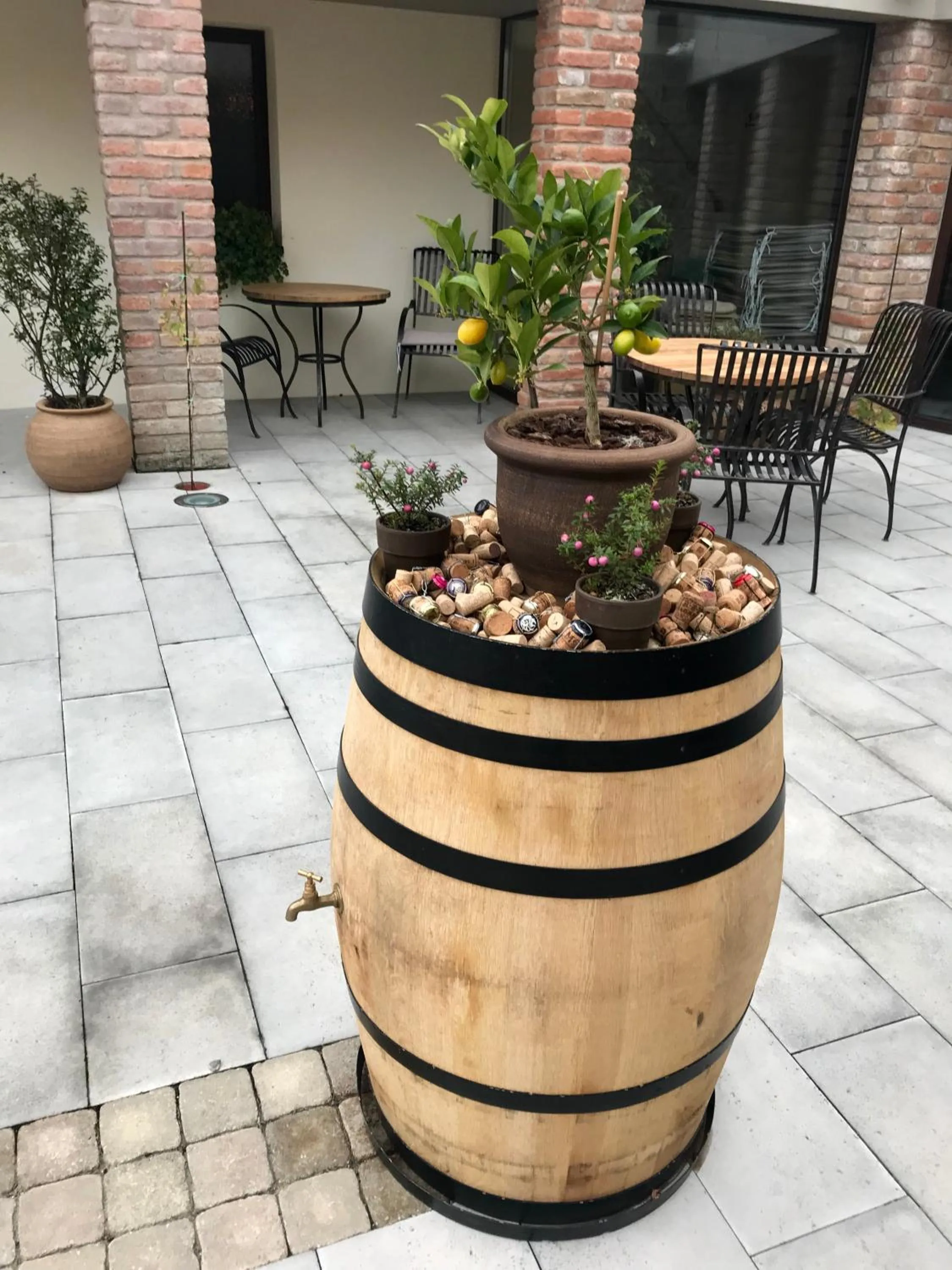 Autumn in PROSECCO RESIDENCE MARKO