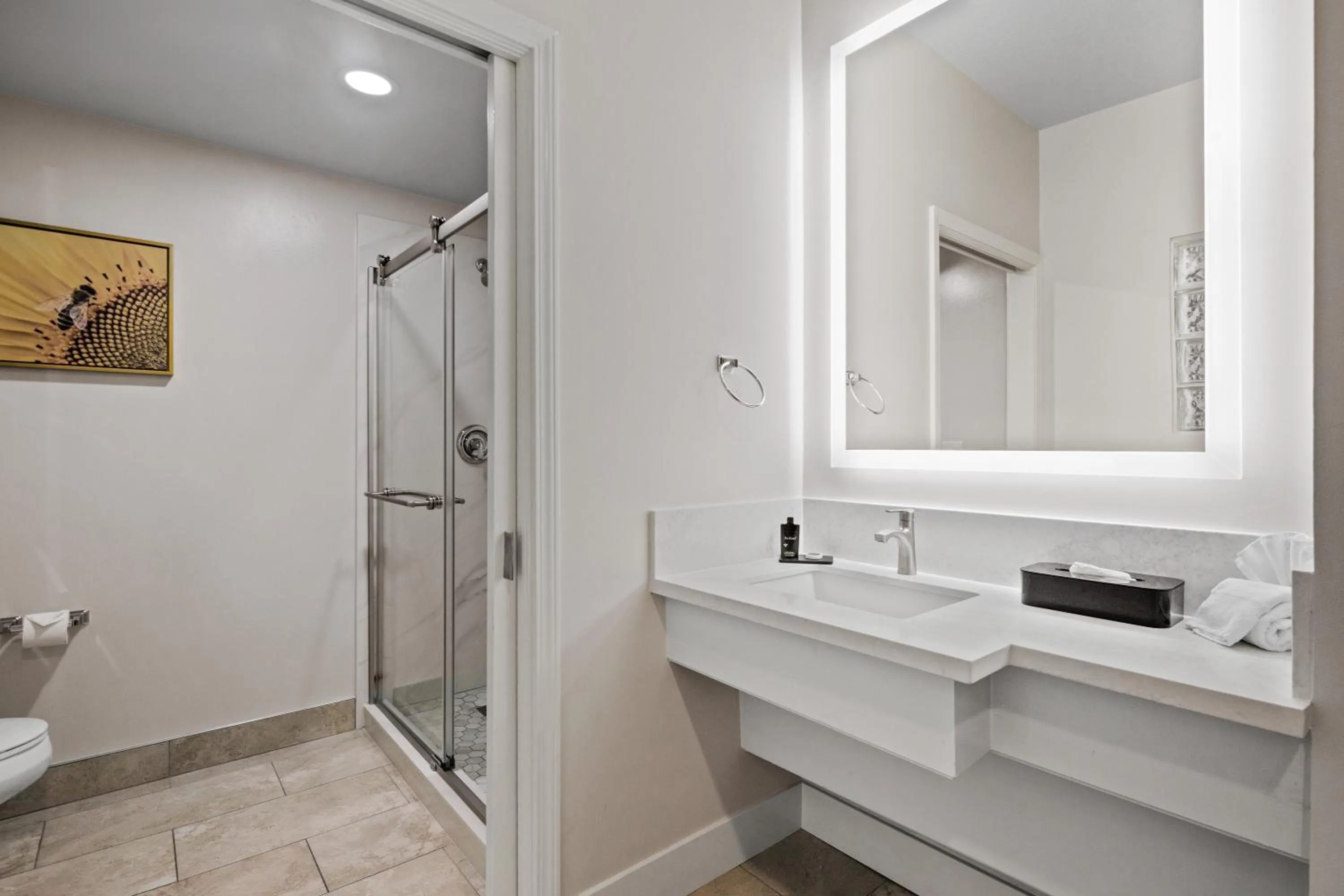 Bathroom in University Park Inn & Suites, an Ascend Collection Hotel