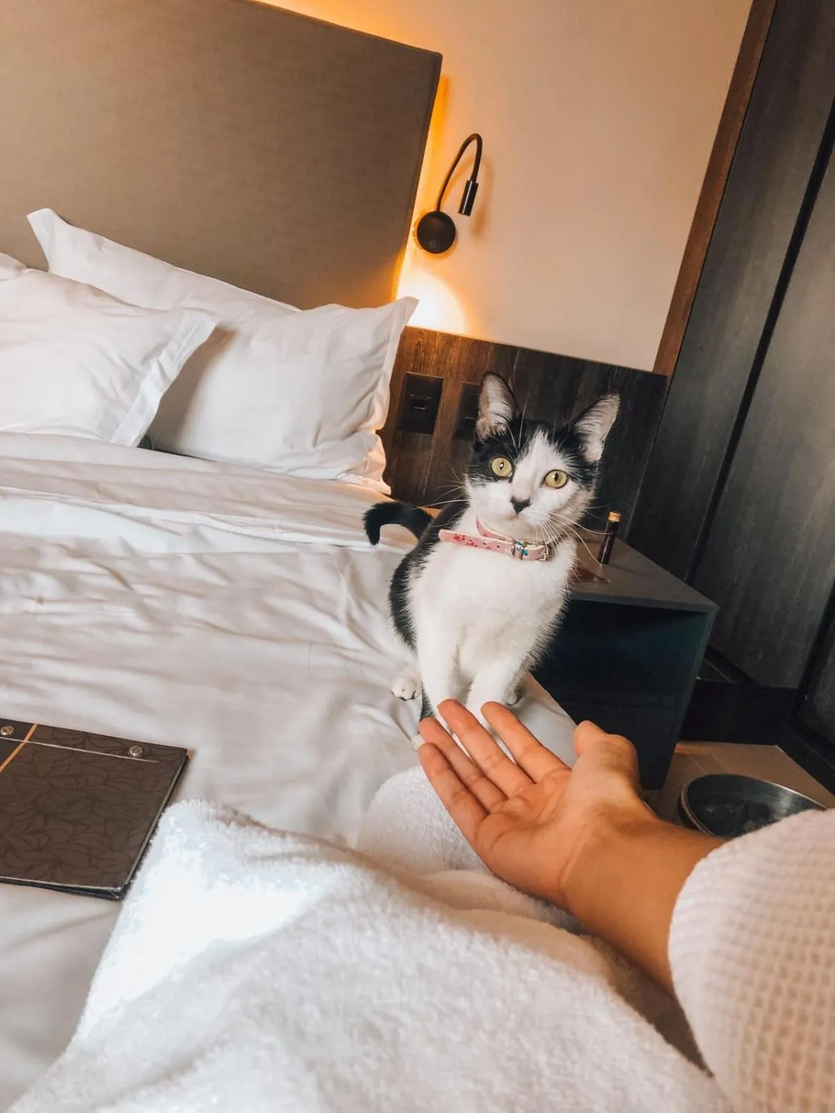 Photo of the whole room, Bed in Royal Collection Savassi