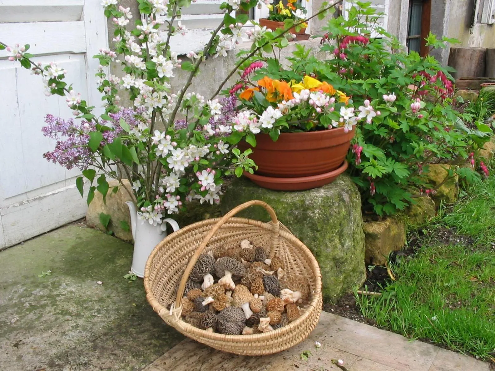 Restaurant/places to eat in Lodge Hôtel de Sommedieue Verdun