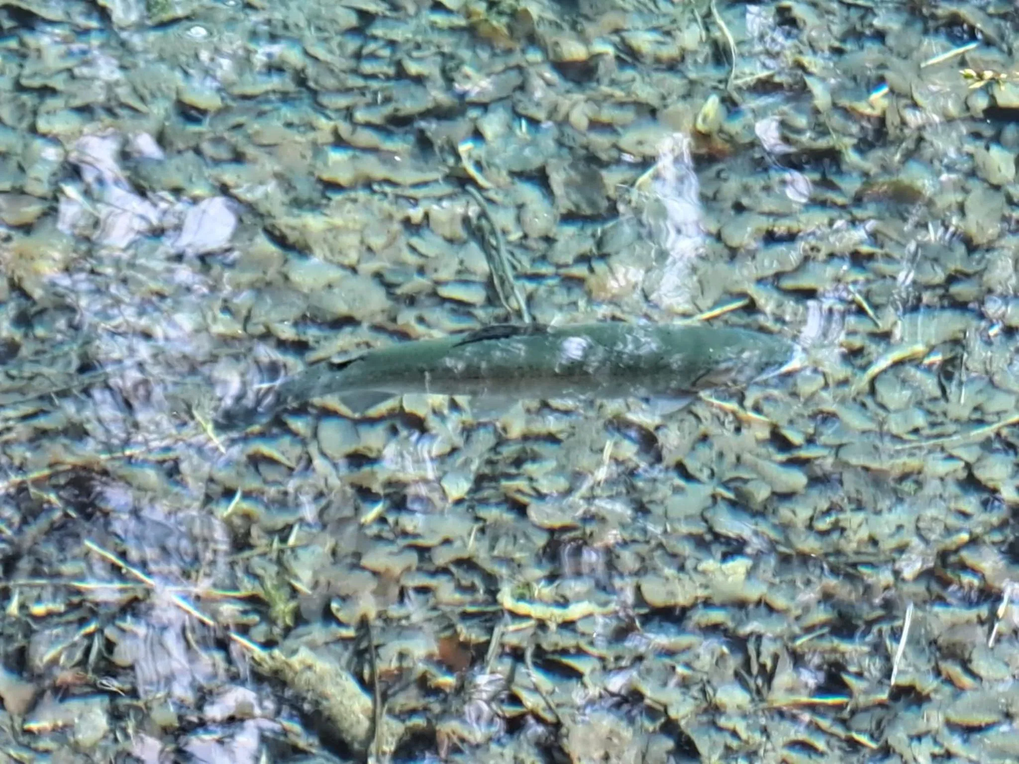 Natural landscape in Lodge Hôtel de Sommedieue Verdun