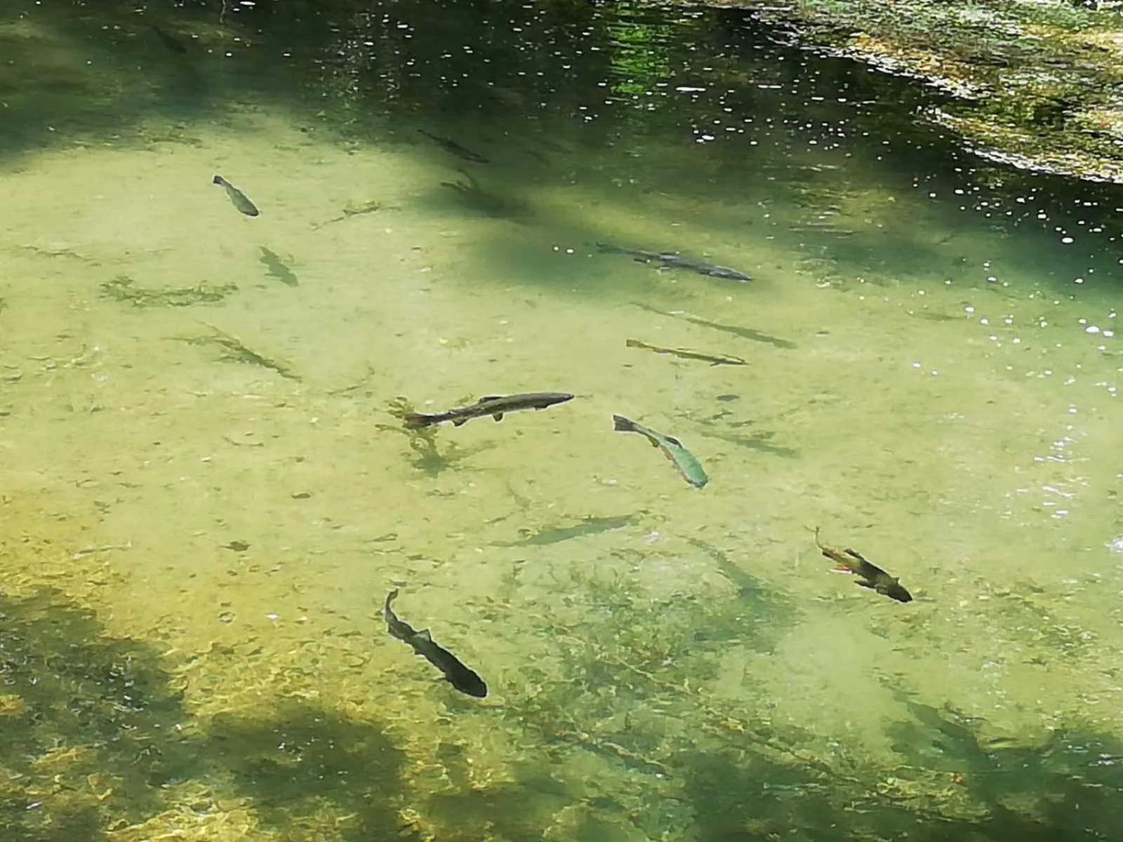 Day in Lodge Hôtel de Sommedieue Verdun