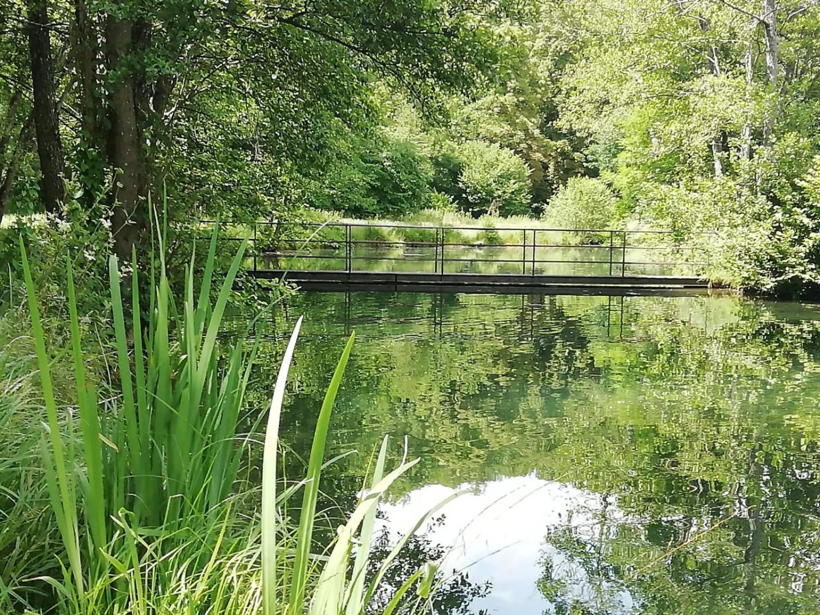 Natural landscape in Lodge Hôtel de Sommedieue Verdun