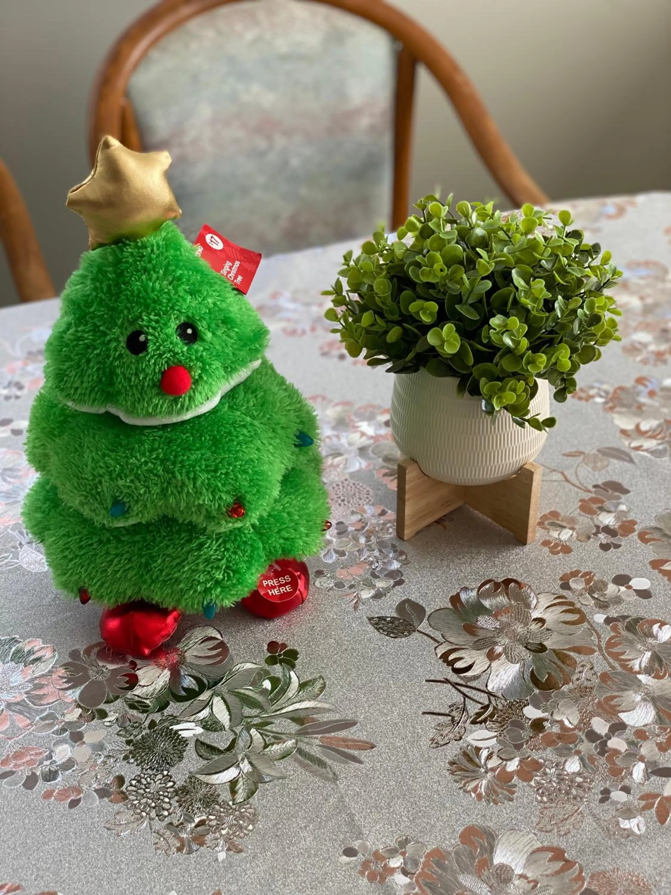 Coachman Motel and Holiday Units