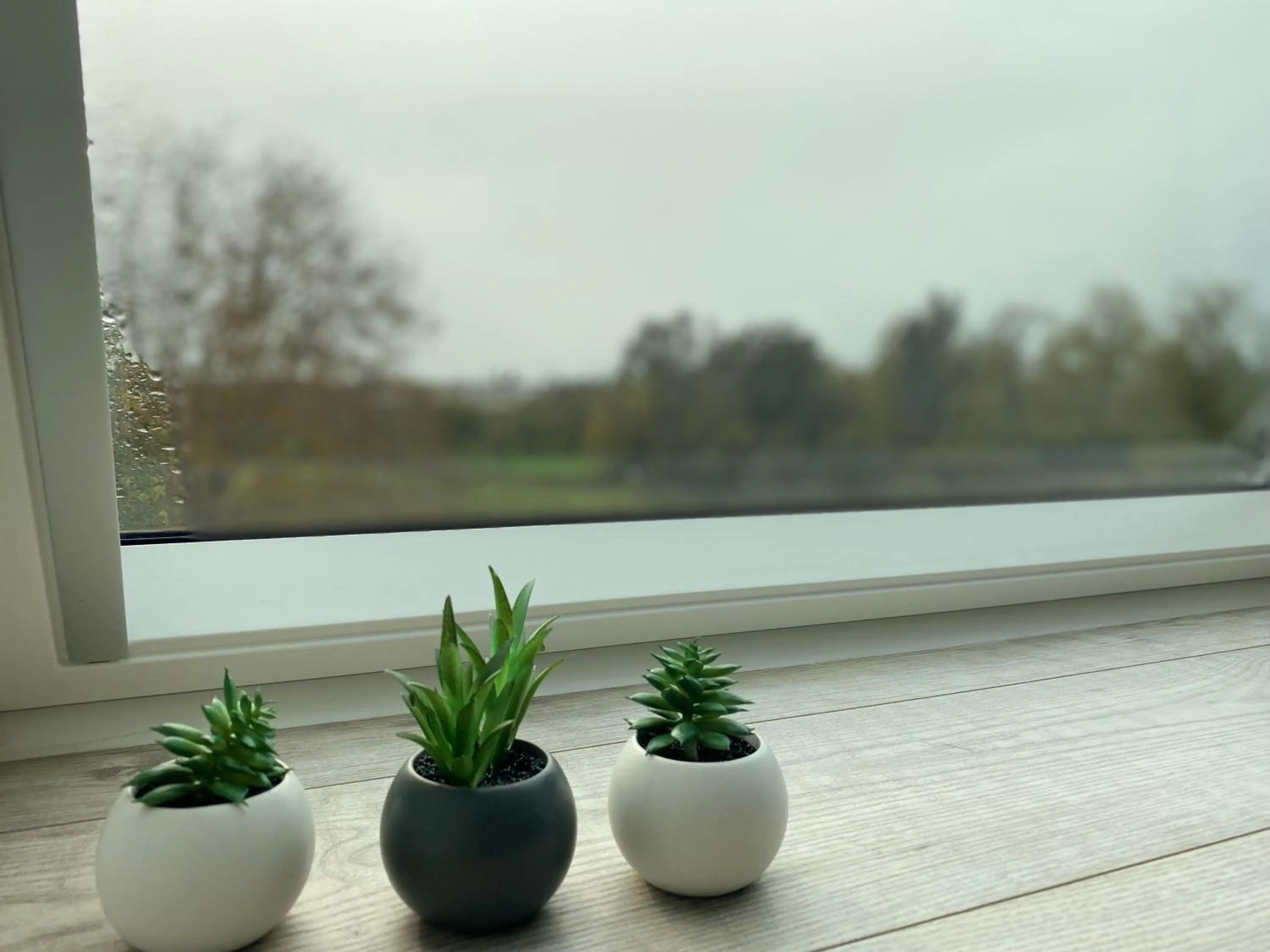 Les Rives des Habsbourg