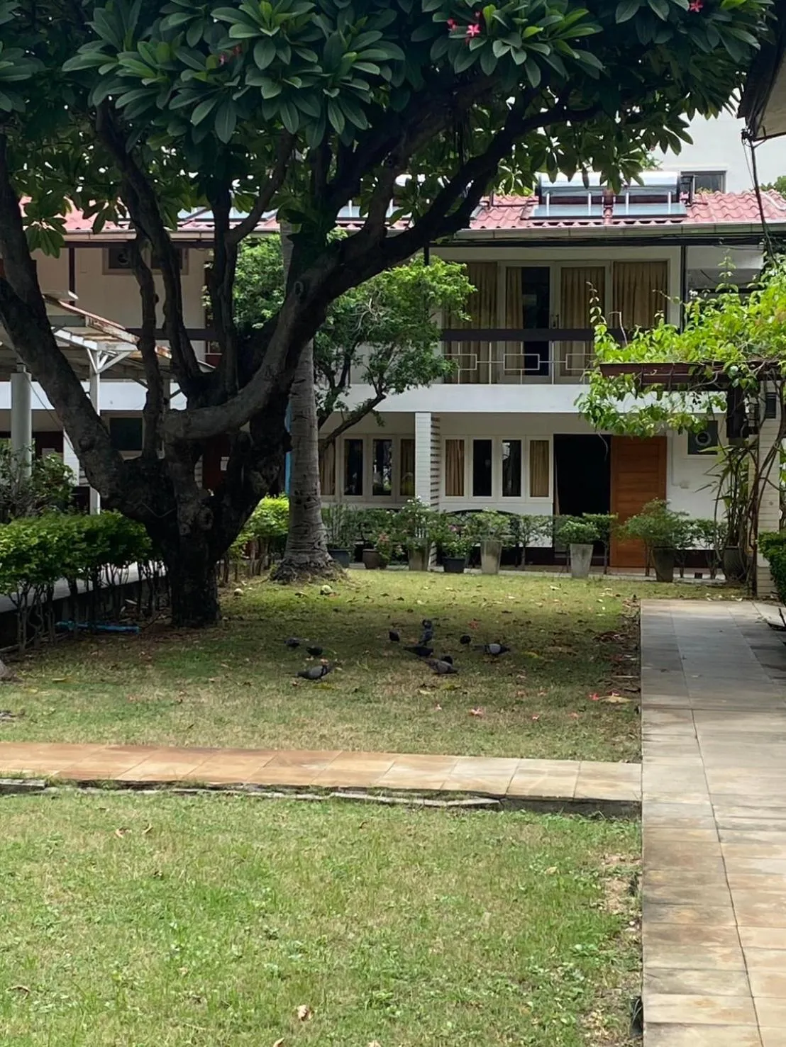 Garden in Nautical Inn